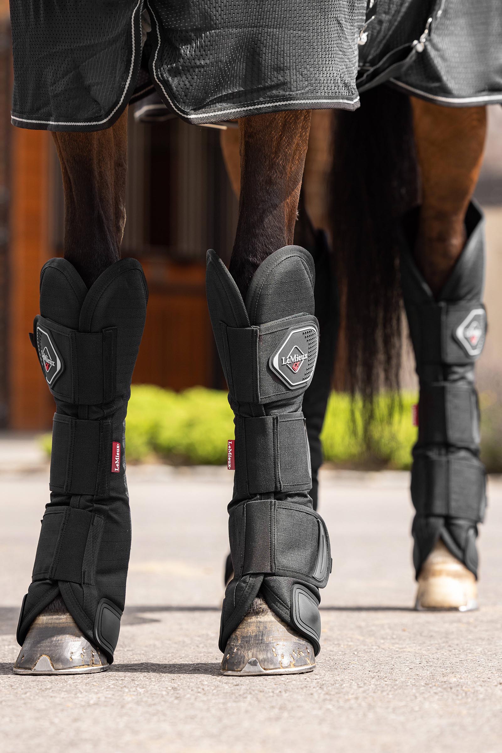 LeMieux transportbeschermers