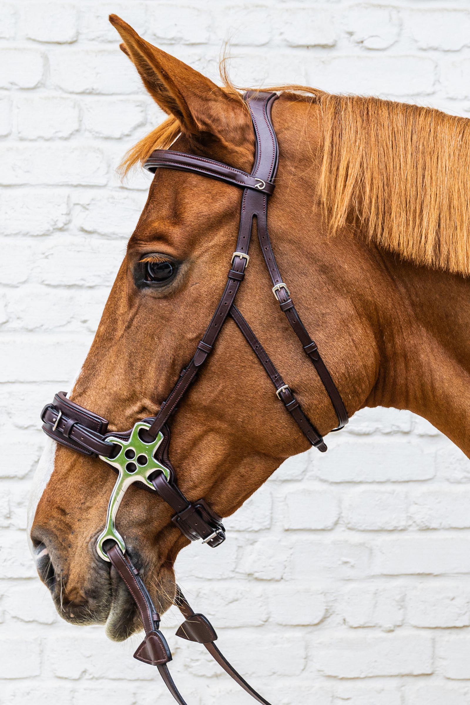 Dy'on New English Collection hackamore hoofdstel  