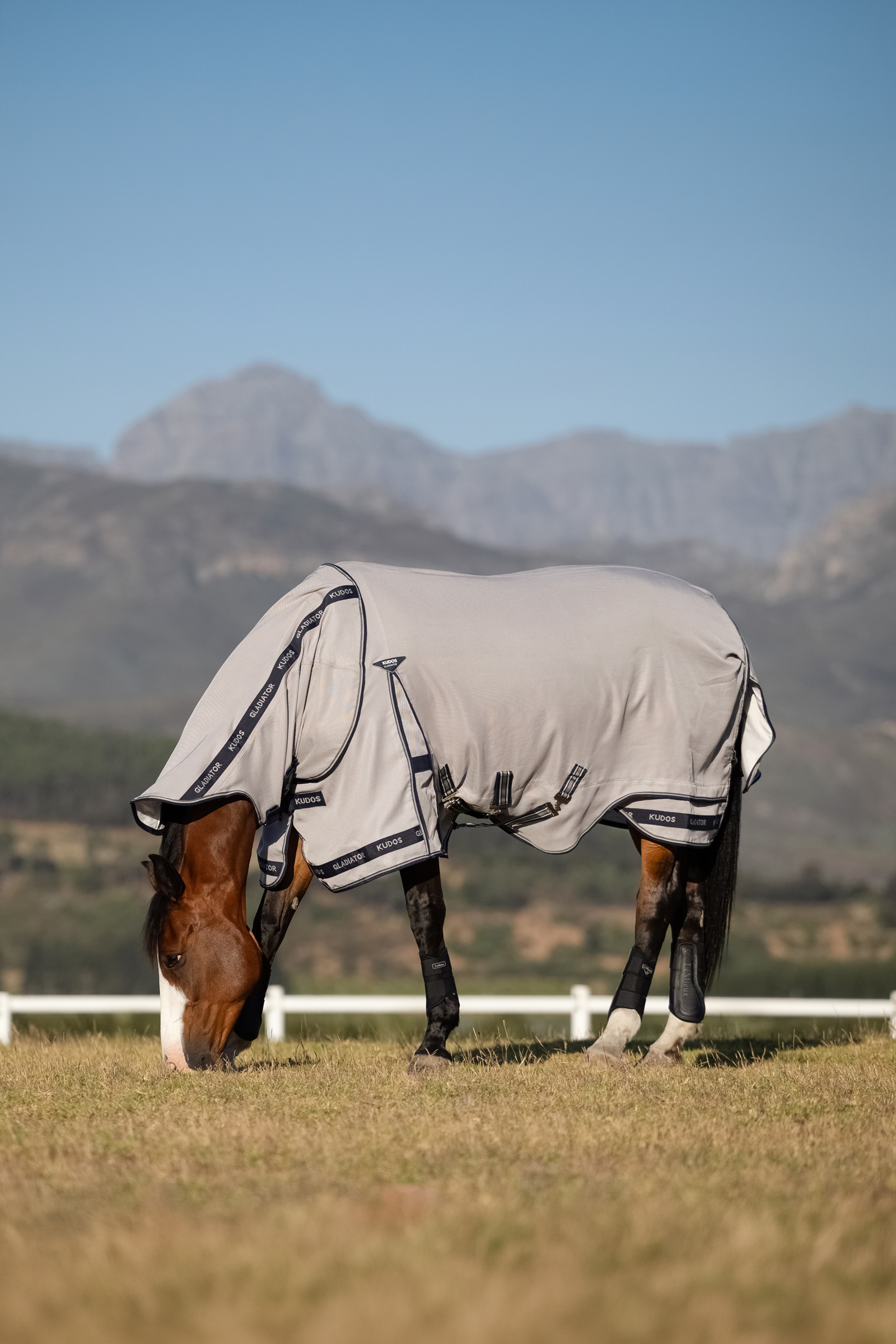 LeMieux Kudos Gladiator vliegendeken