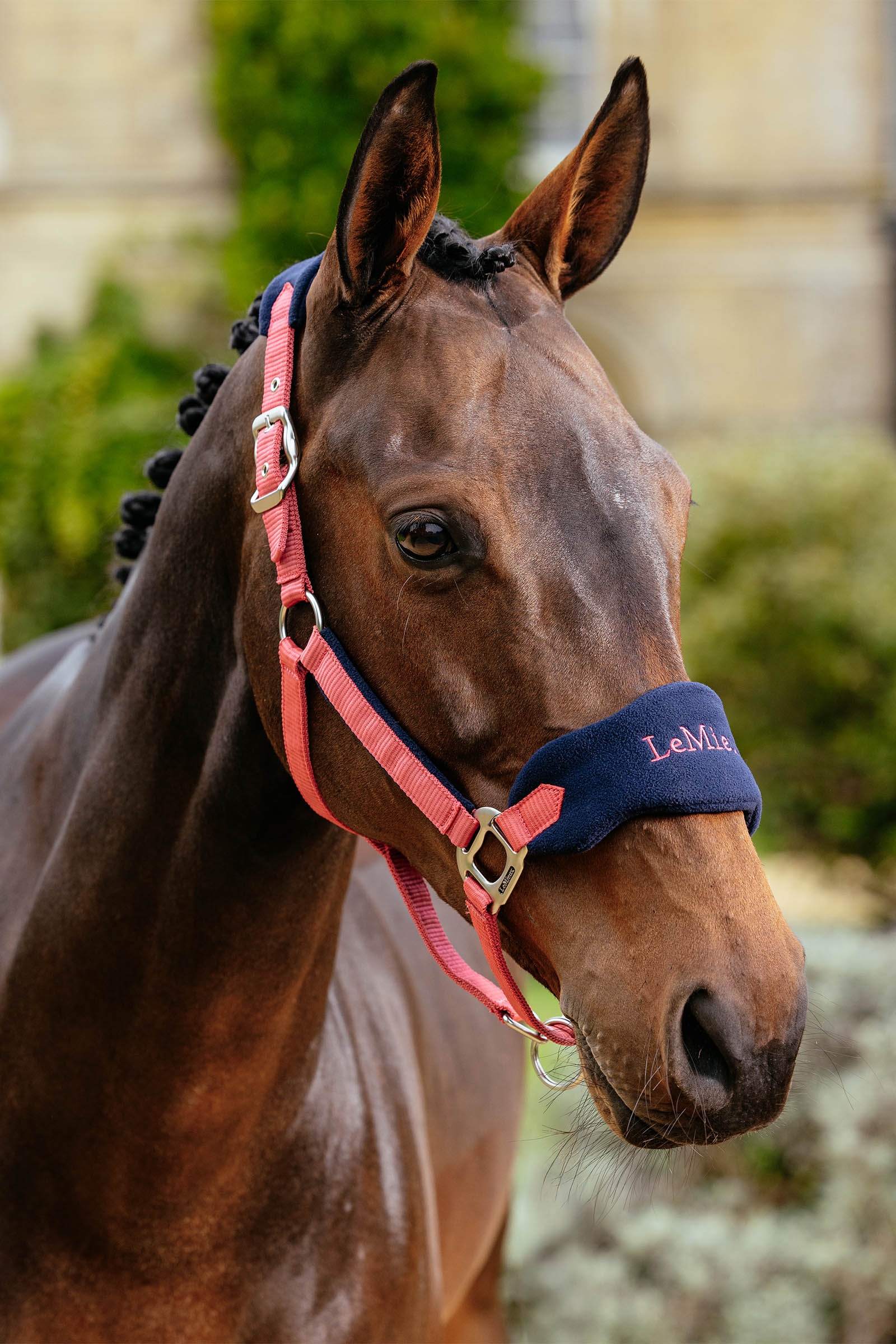 LeMieux Vogue halster & halstertouw set