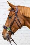 Dy'on New English Collection hackamore hoofdstel  