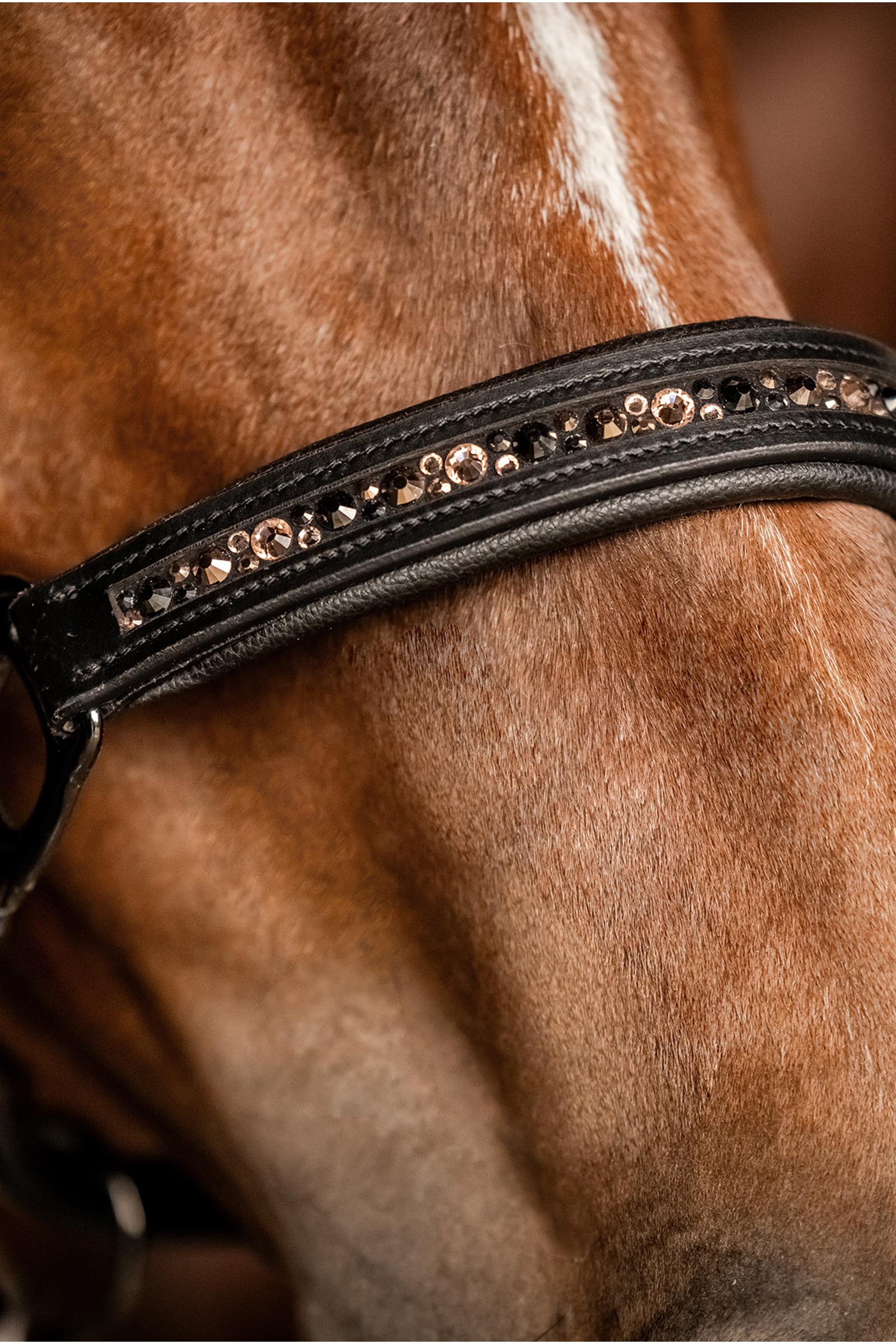 Waldhausen X-Line Crystal Lederen halster