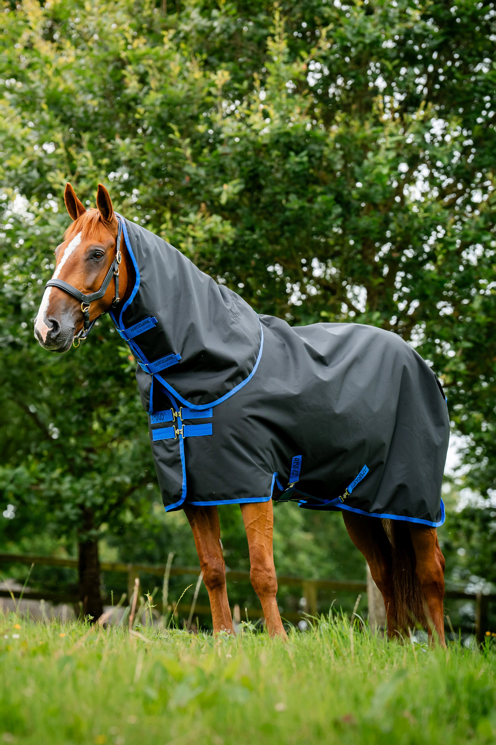 Horseware Amigo Ripstop 900D Plus regendeken, 0 g