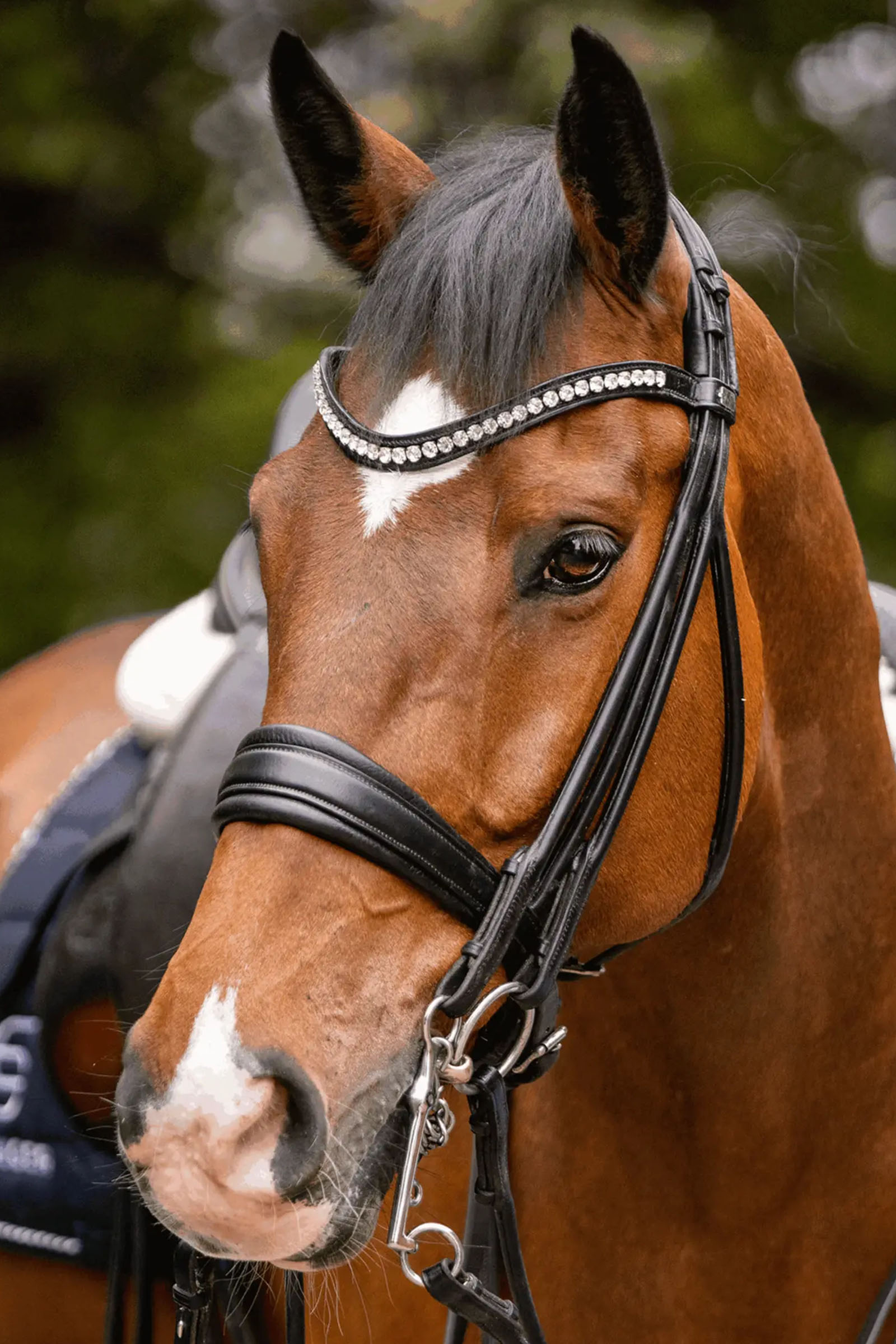 Sprenger Novocontact Weymouth 14mm Sensogan met 7cm roestvrijstalen scharen