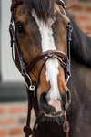 Trust Equestrian Geneva Combined Noseband Bridle