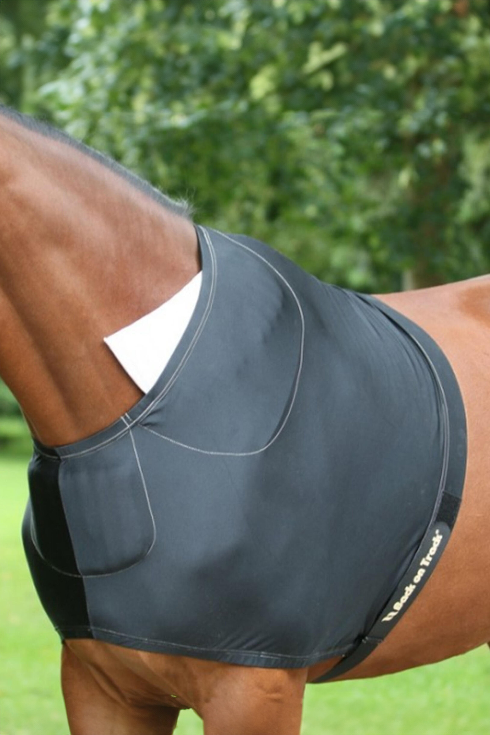 Back on Track Borstbeschermer