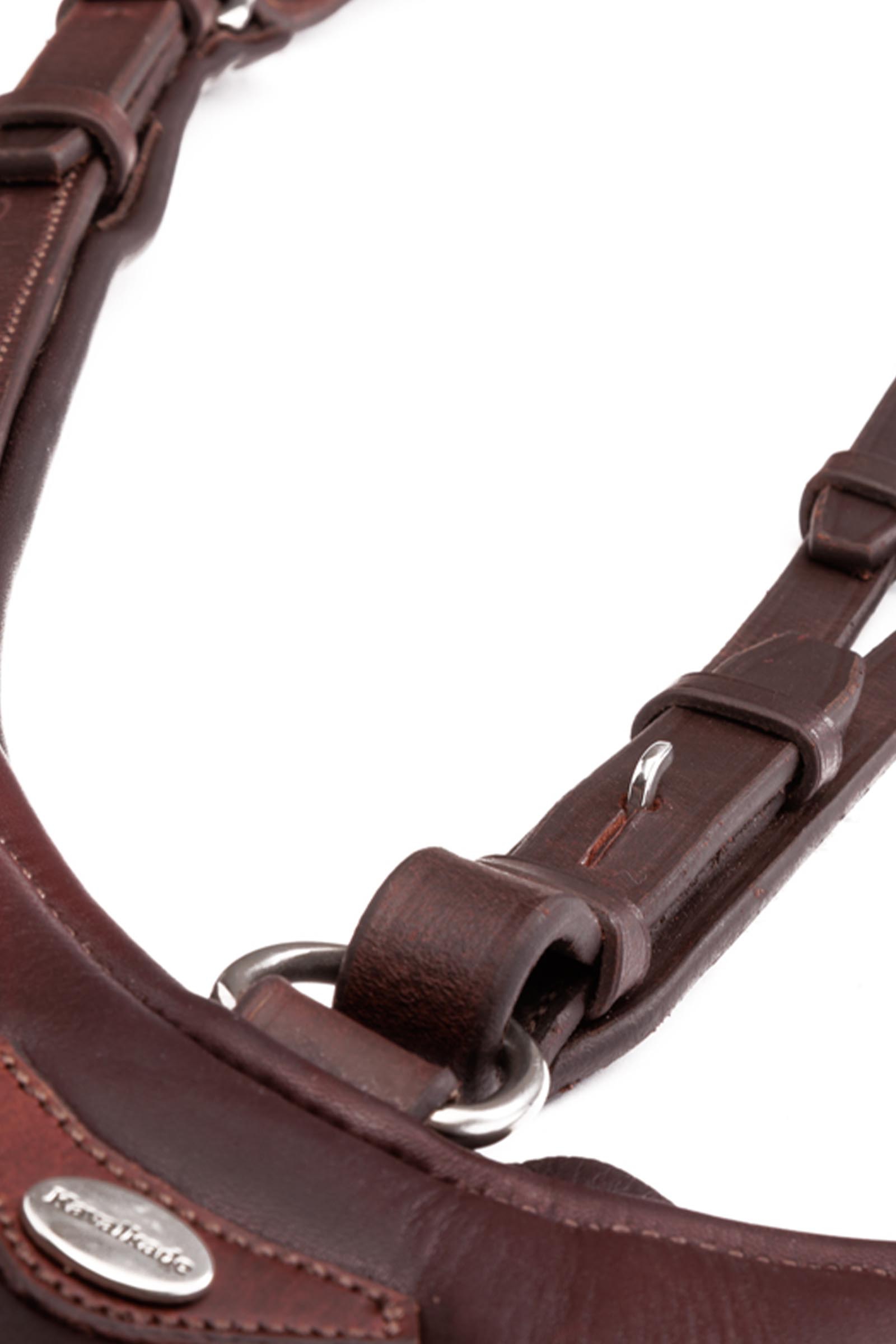 Kavalkade Azriel martingaal, zacht gevoerd