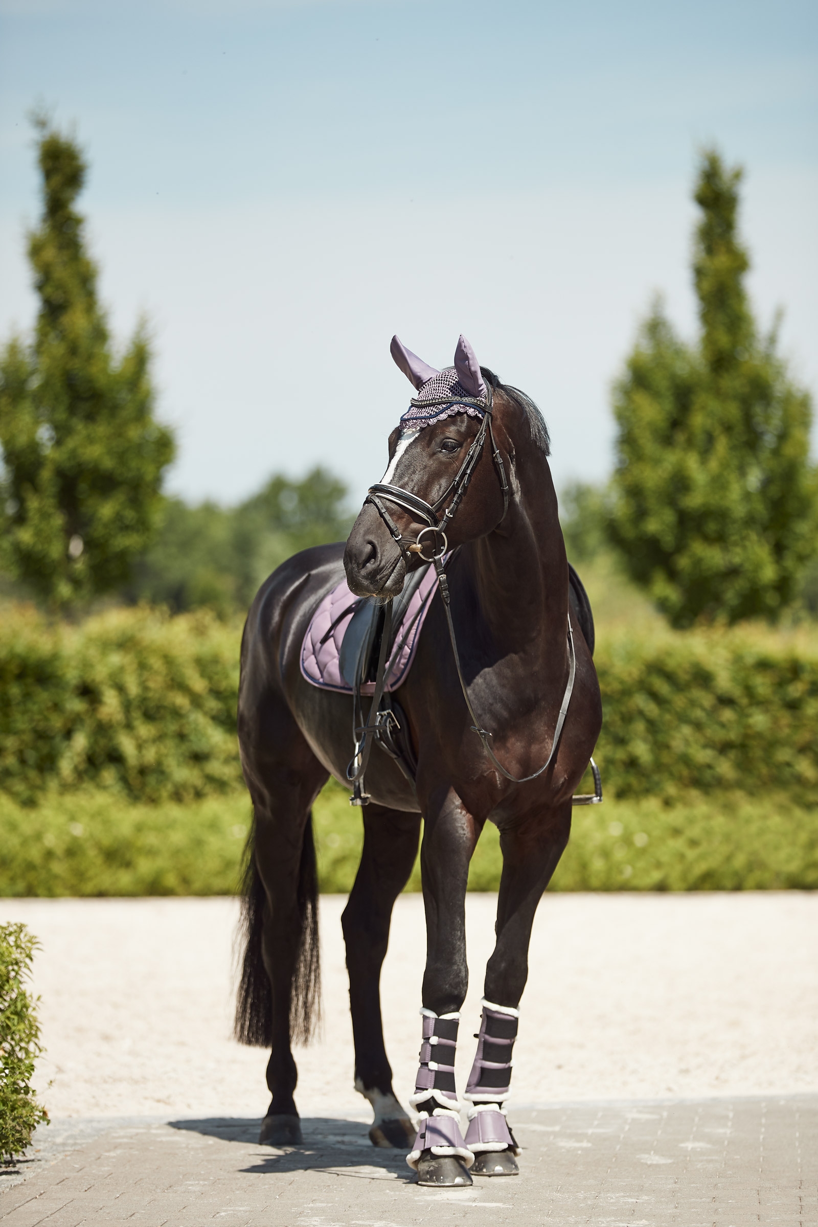 Horze Ghent imitatiebont beenbeschermers