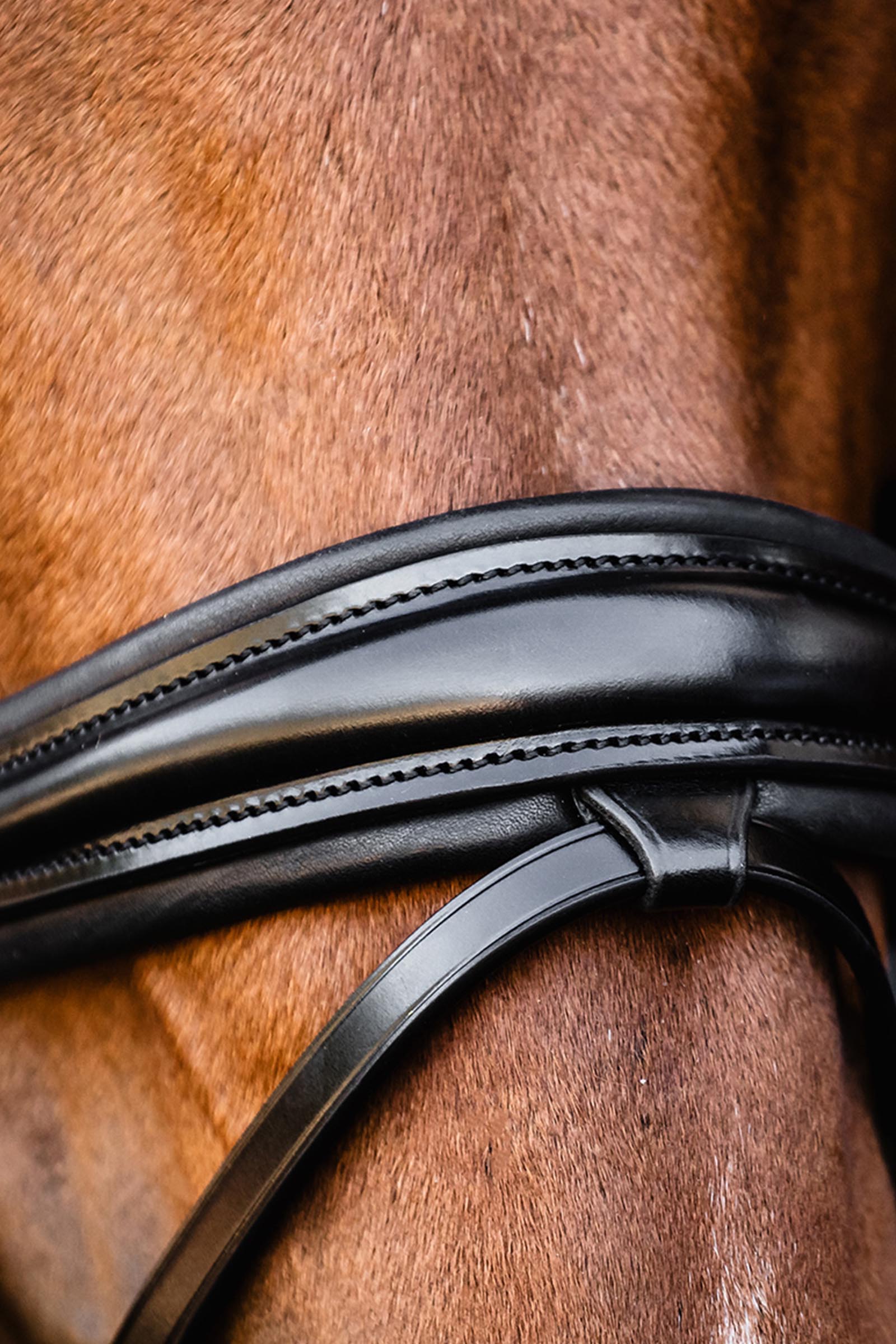 Schockem&ouml;hle Sports Satchmo Bridle - Isabell Werth Collection