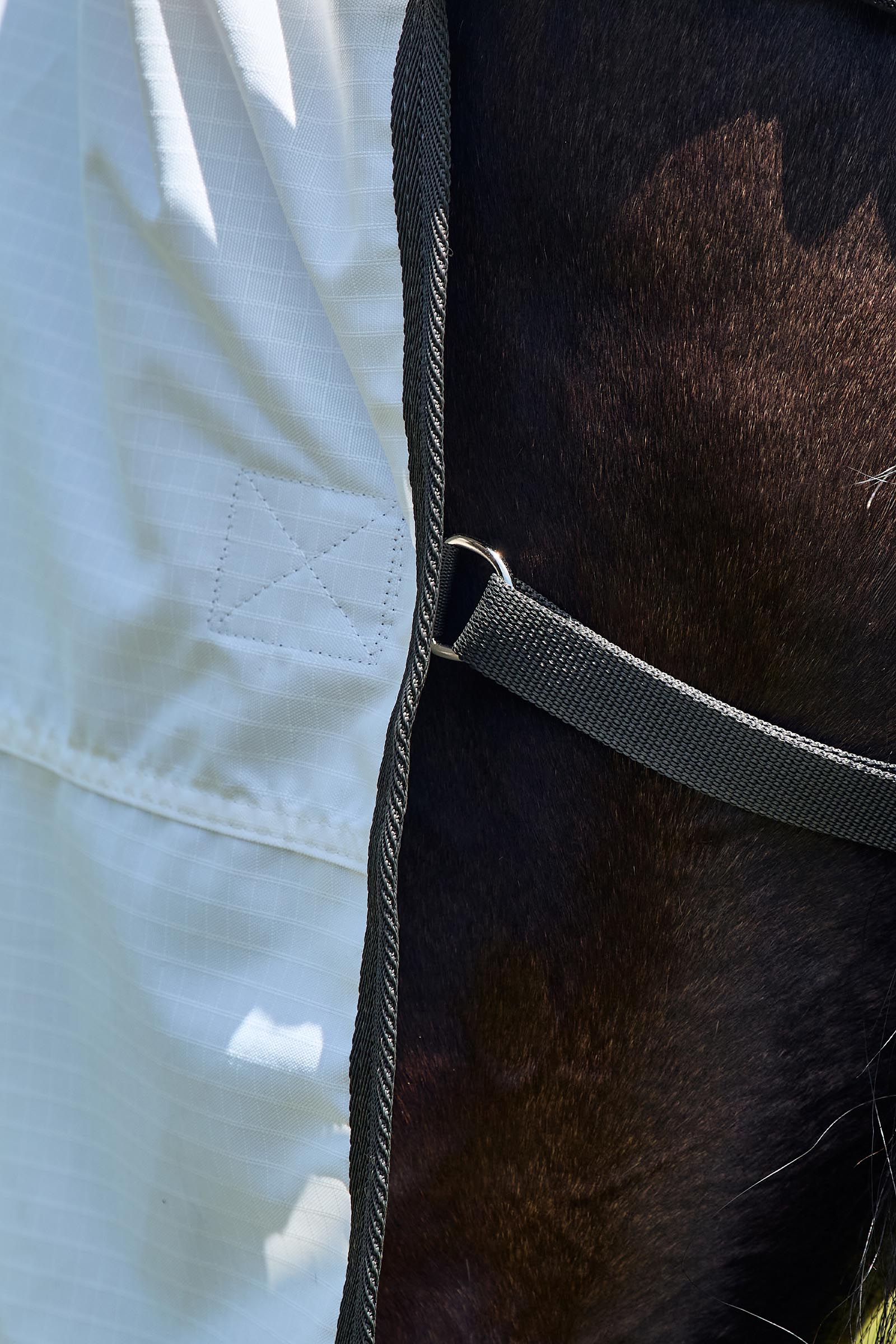 Weatherbeeta ComFiTec Sweet Itch Shield Vliegendeken combo met vaste hals, 0 g  