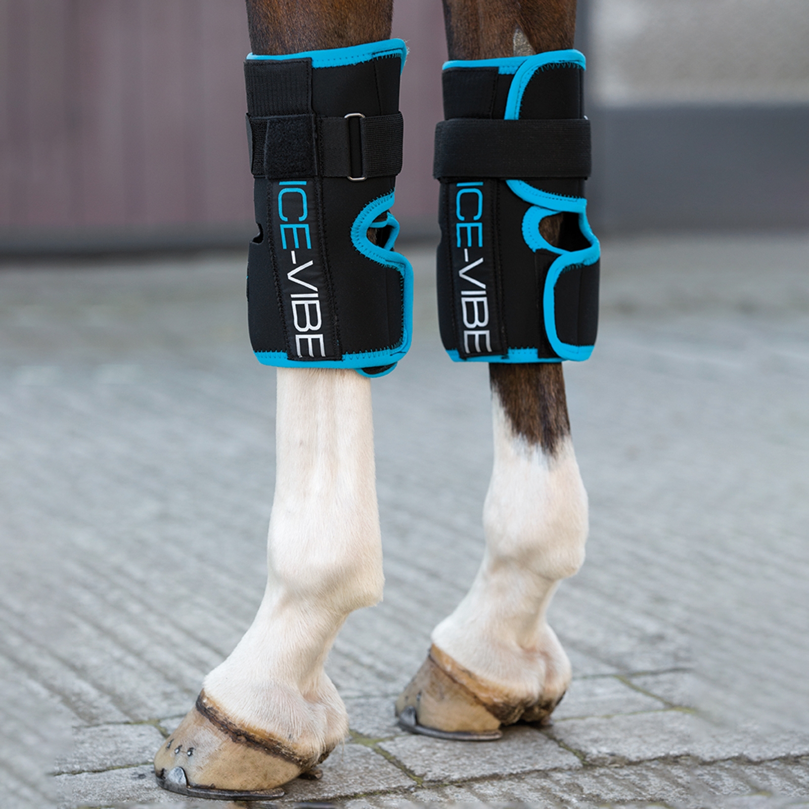 Horseware Ice-Vibe Kniebandage