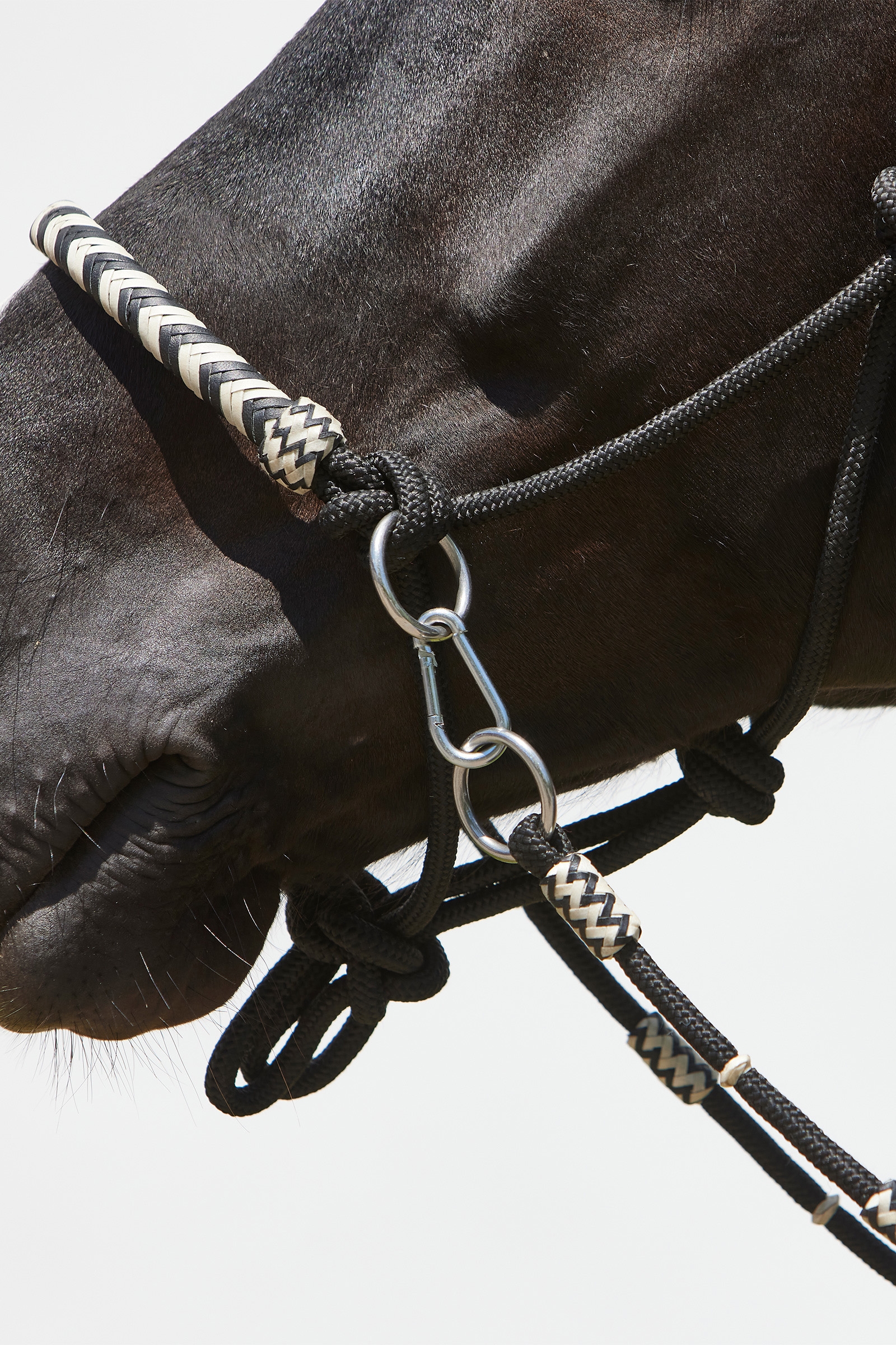 Kieffer Enya touwhalster