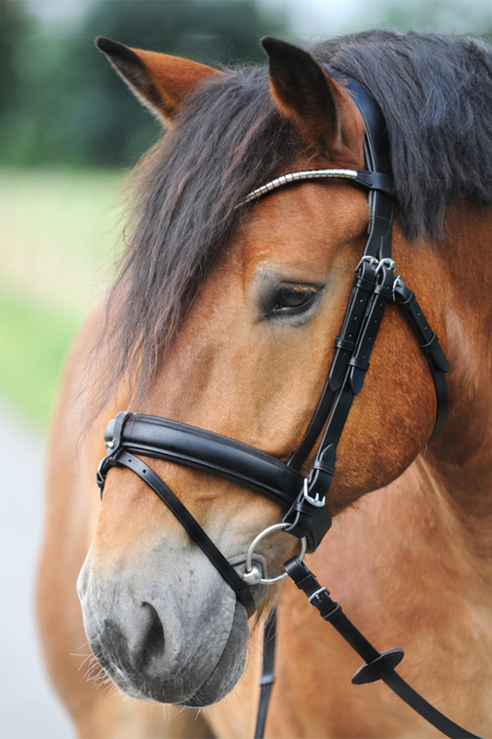 Black/Silver Kavalkade Clinchesse Bridle