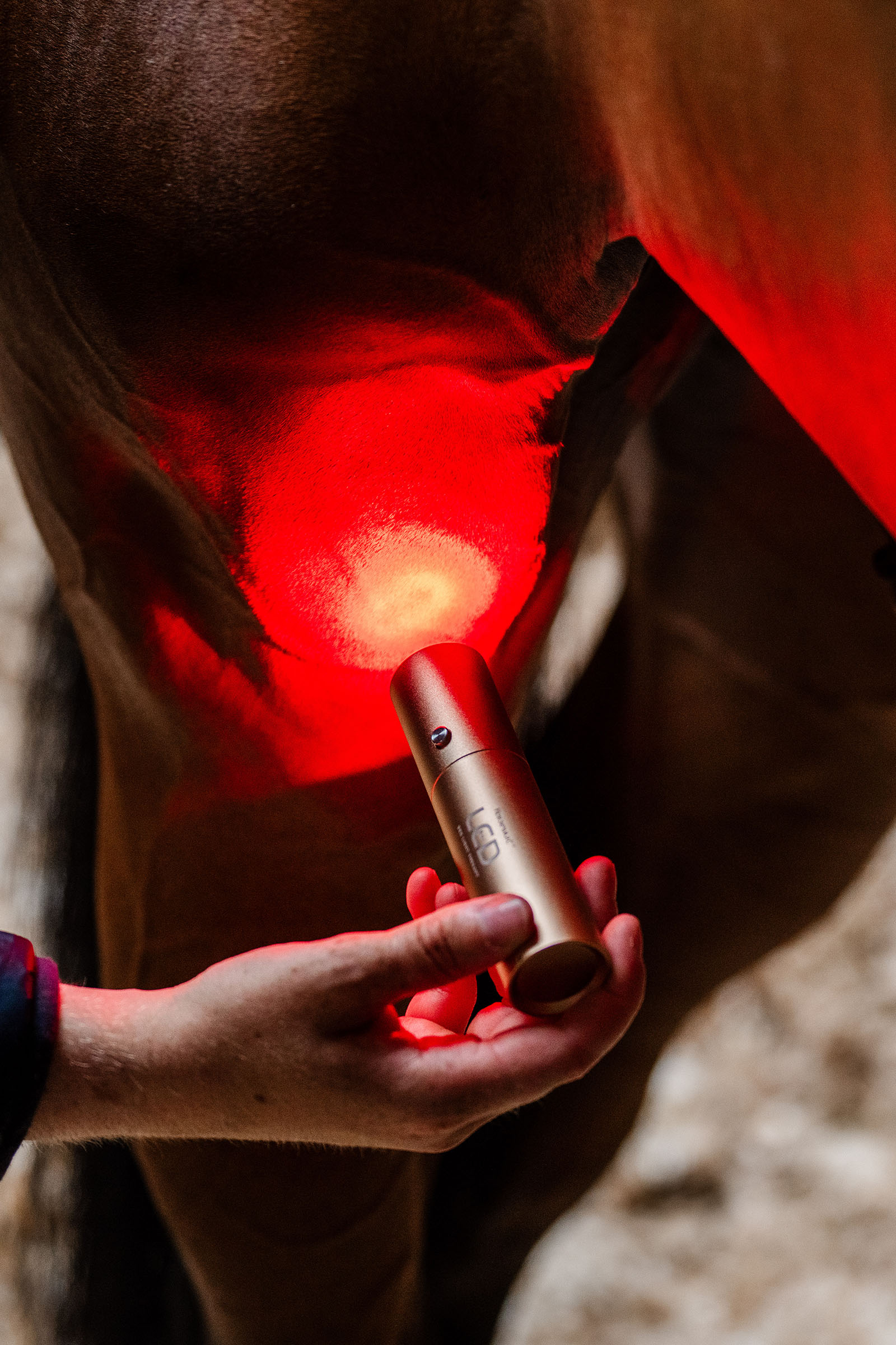 Horseware LED roodlichttherapie Staaf
