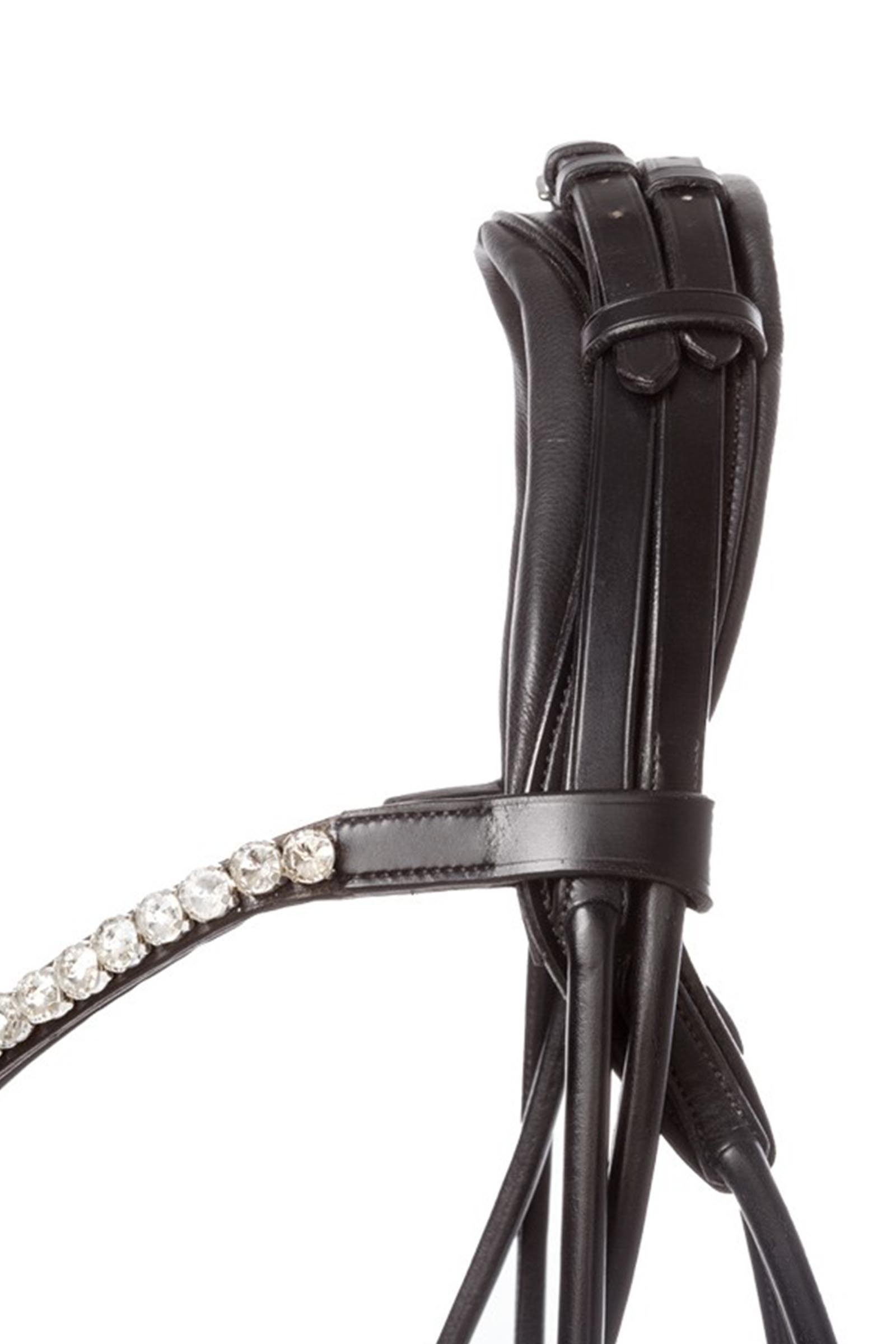 Kavalkade Florentine hoofdstel Zweeds gecombineerd