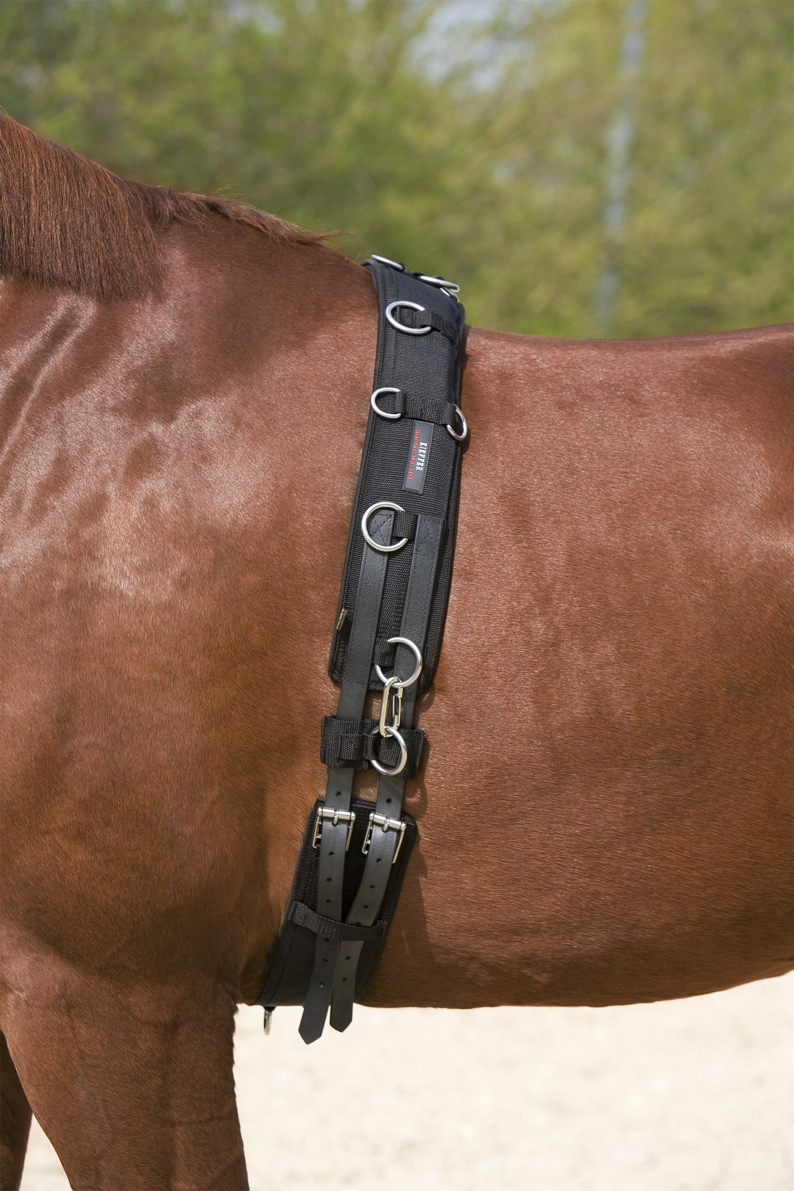 Kieffer Longeersingel