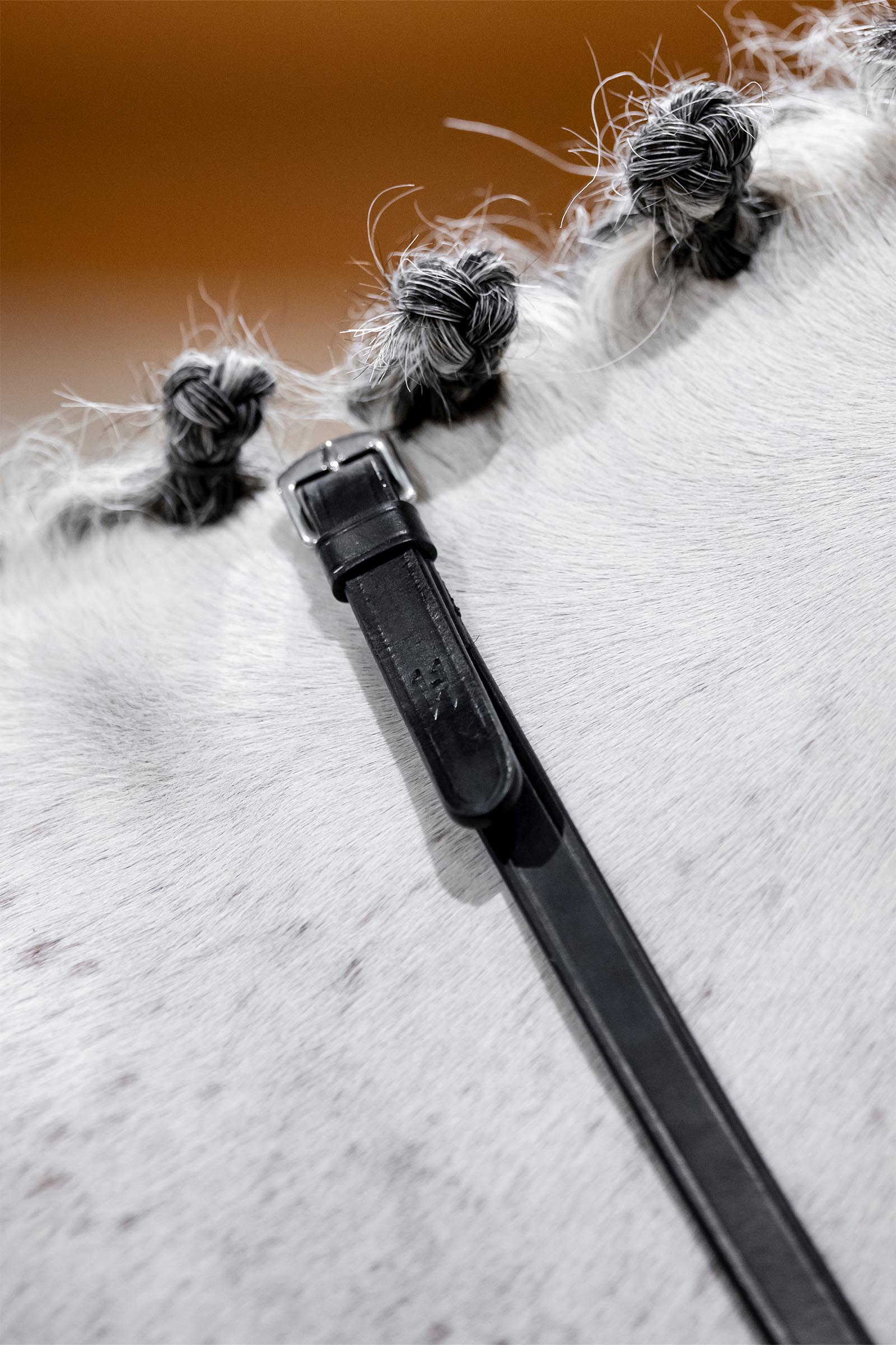 Horseware stangteugels