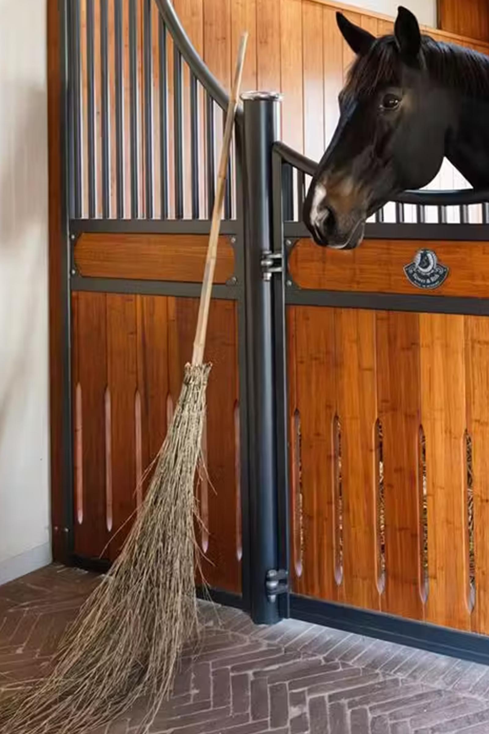 Grooming Deluxe bamboe bezem  