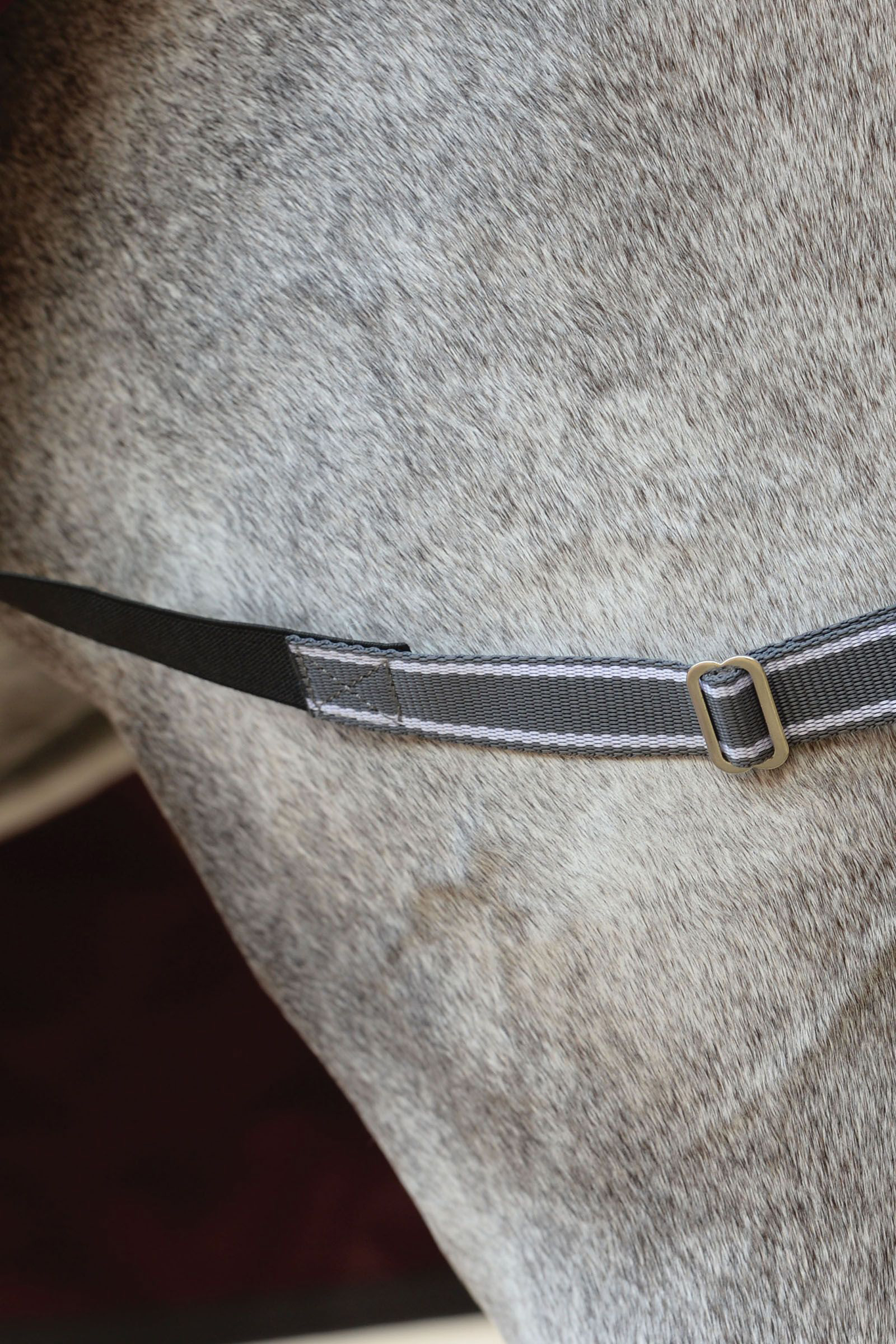 Weatherbeeta Comfitec Plus Dynamic II Combo Hals Regendeken, 220 grams