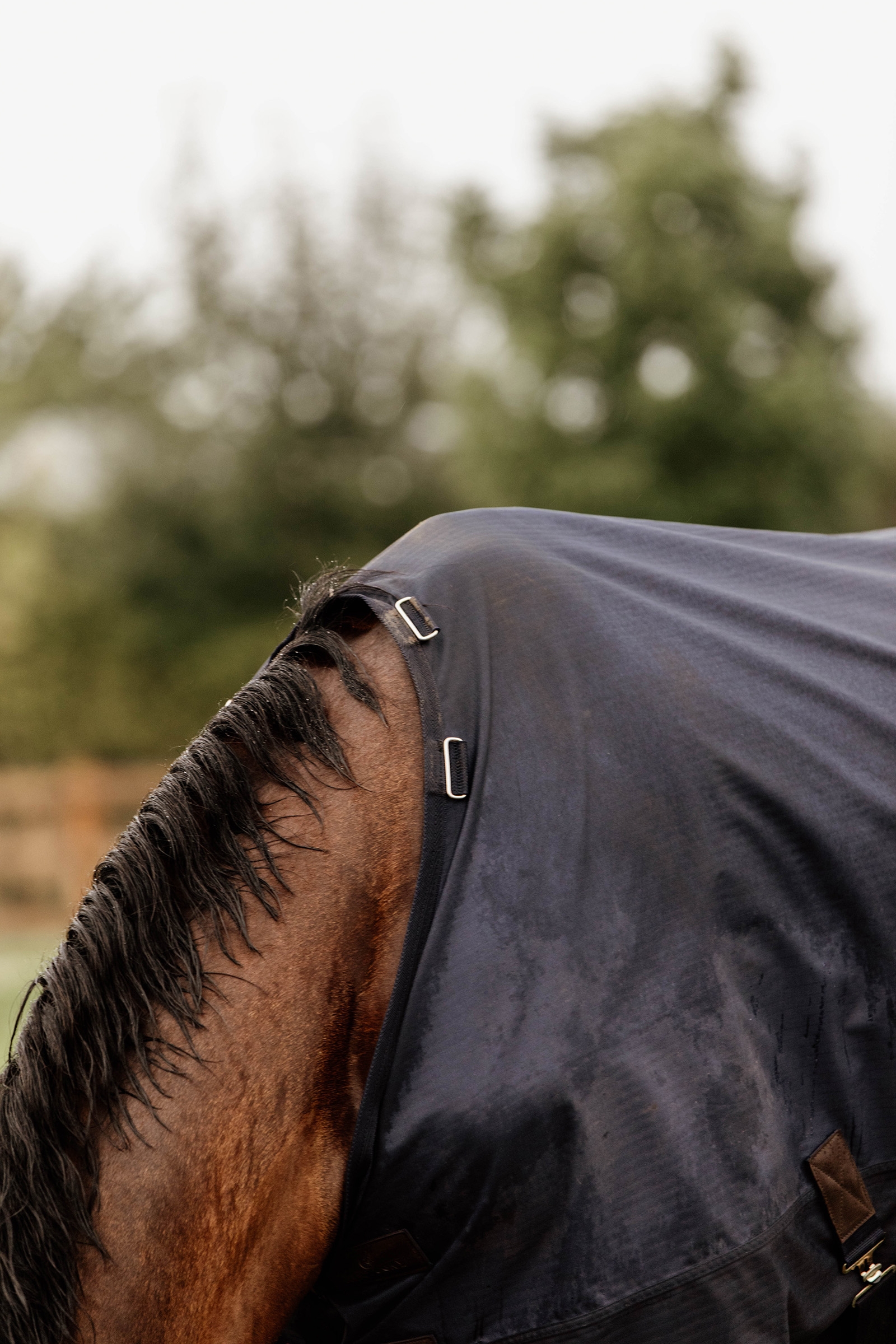 Kentucky Horsewear Winterdeken All Weather 300gr