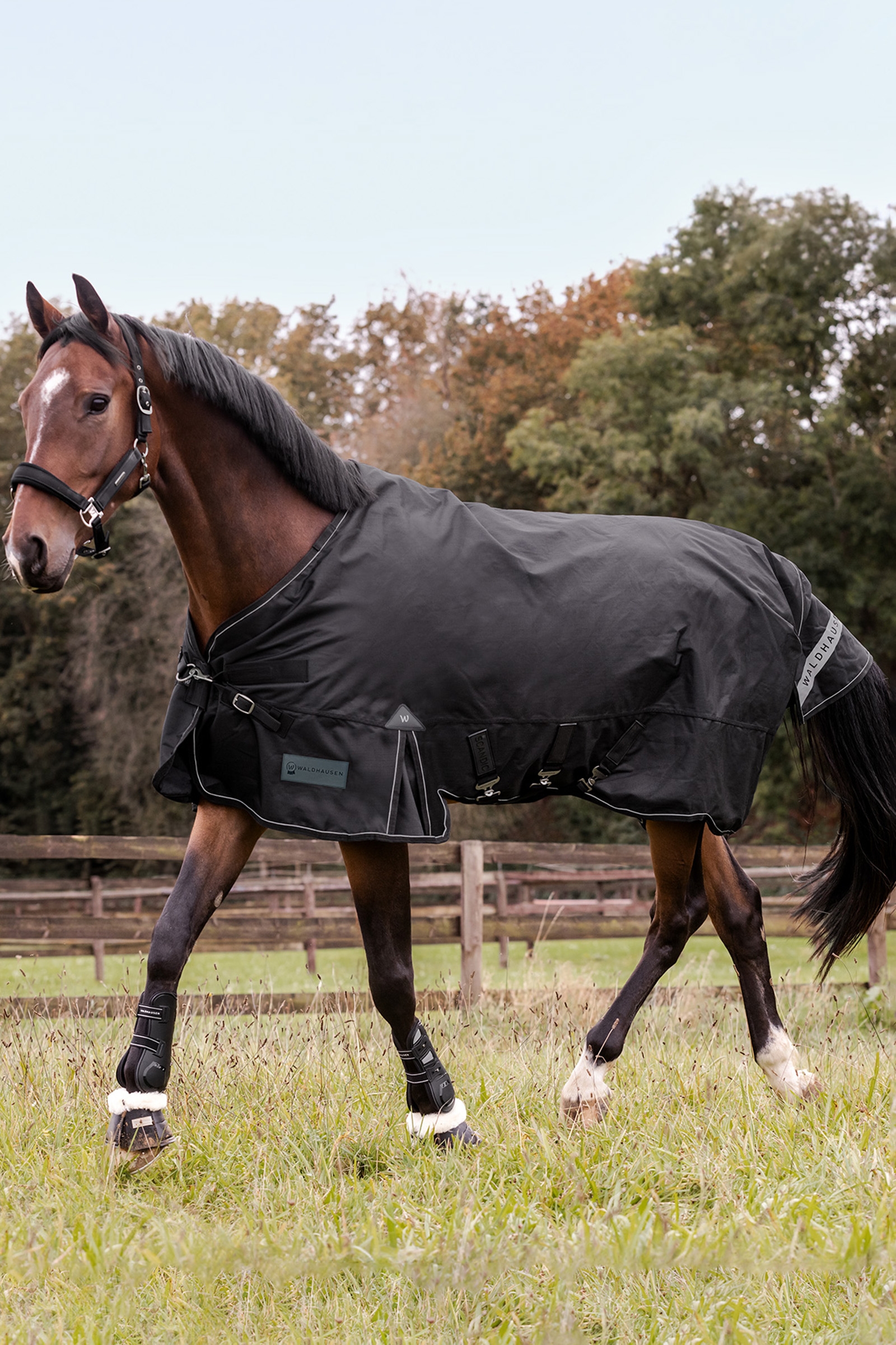 Waldhausen Outdoor Rug Scandic Multi-Layer 150g/50g