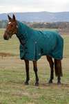 Weatherbeeta ComFiTec Classic Turnout Combo Neck 360G