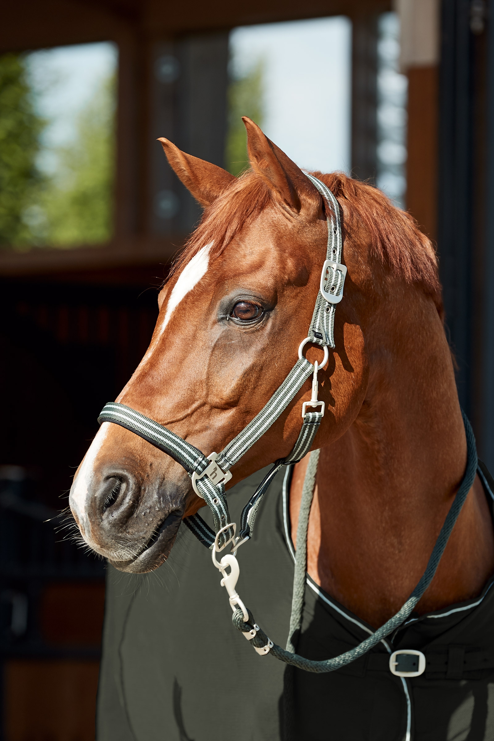 Horze Bari Halster & Touw Set