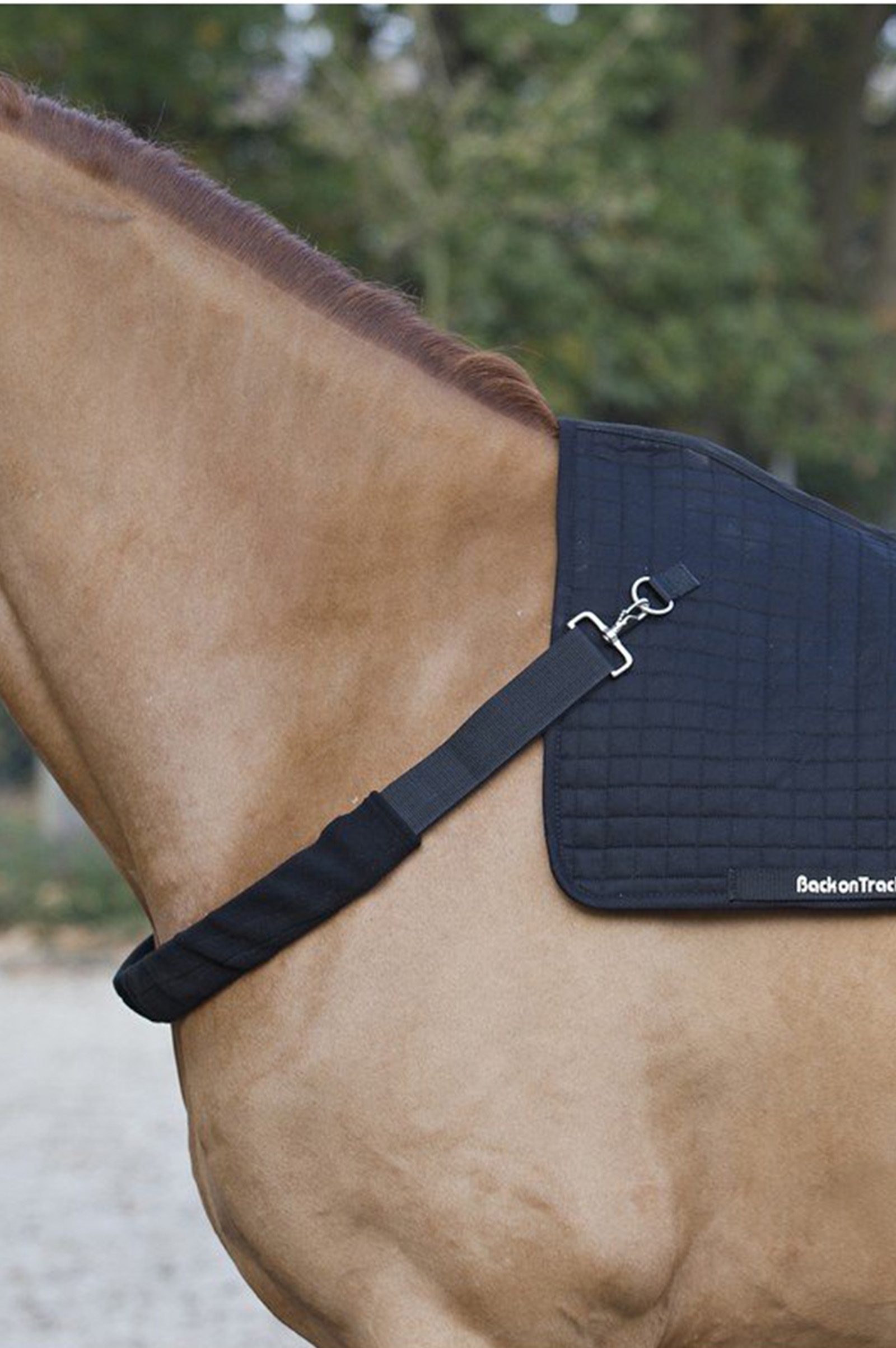 Back on Track Borststuk