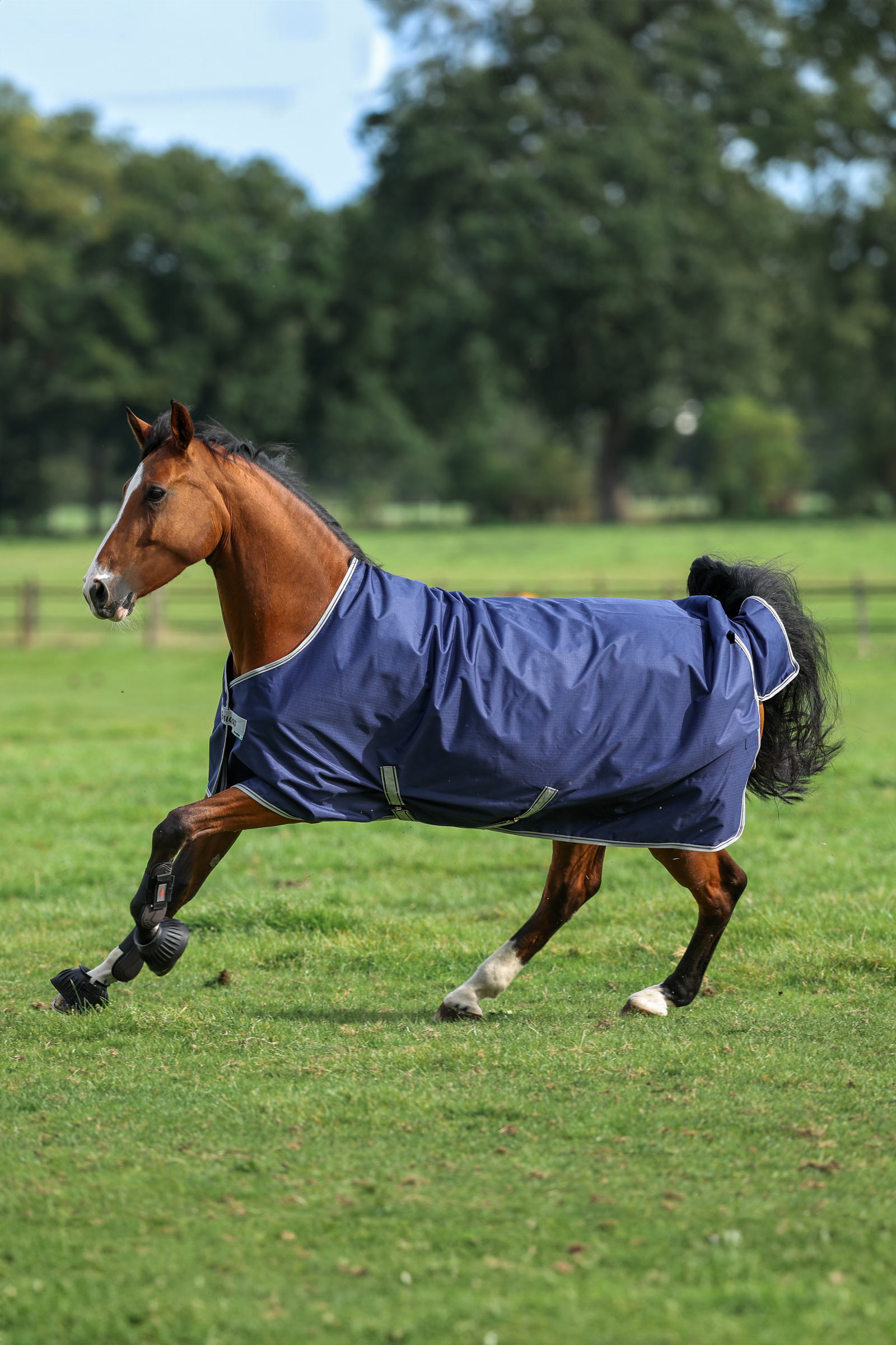 Bucas Freedom lichte outdoordeken voor pony's, 0g