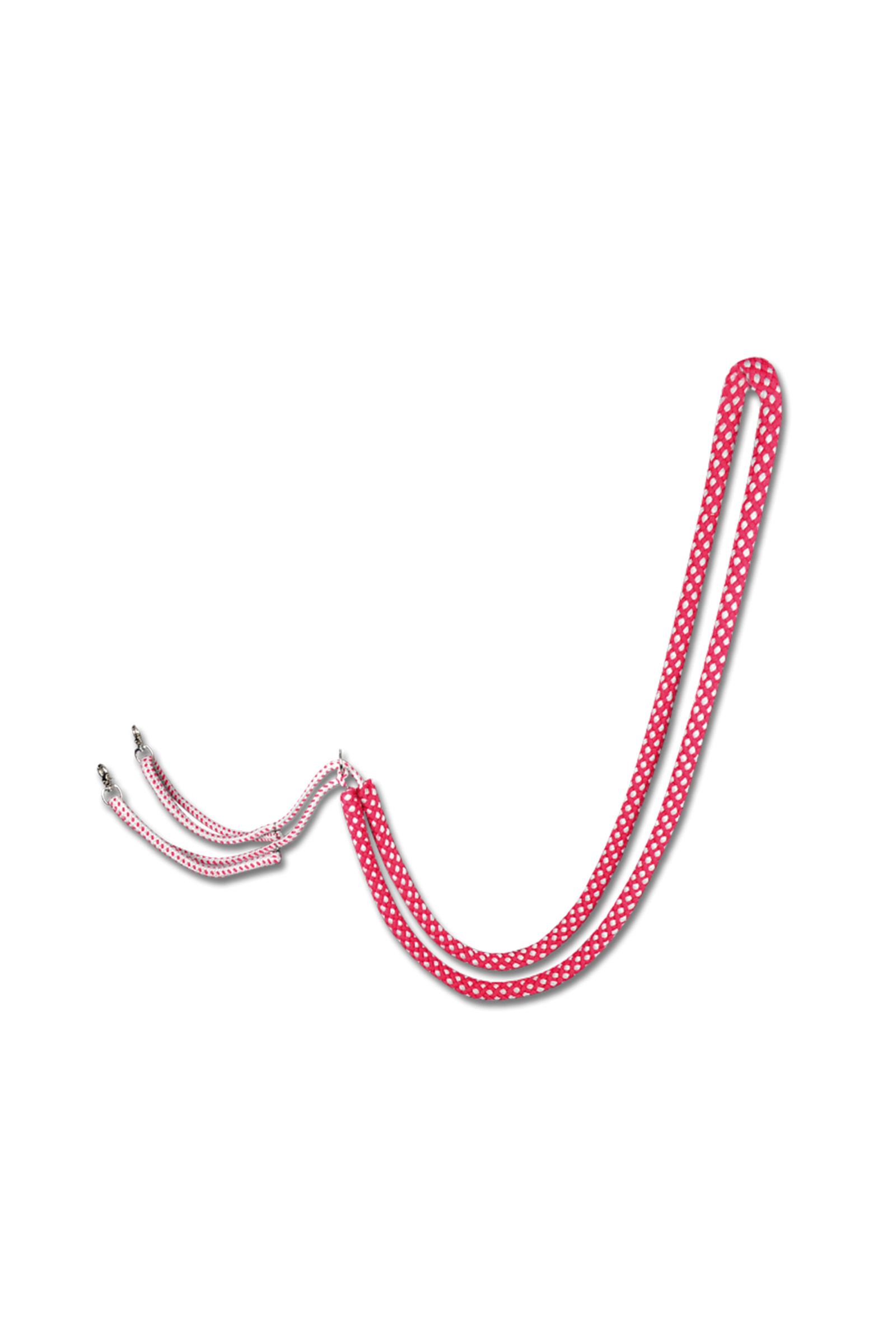 Waldhausen longeerhulp