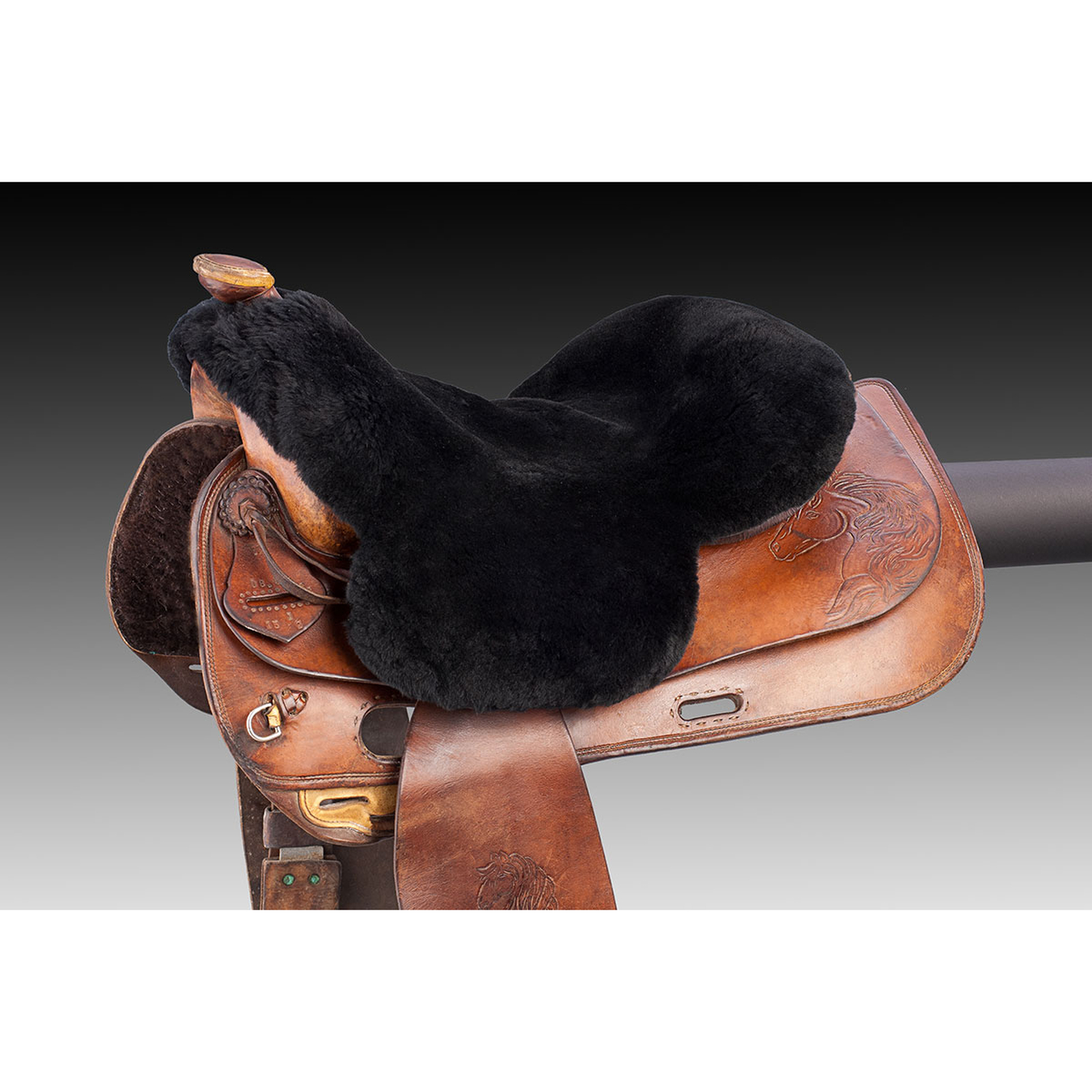 Christ Zadelovertrek Laramie, Full