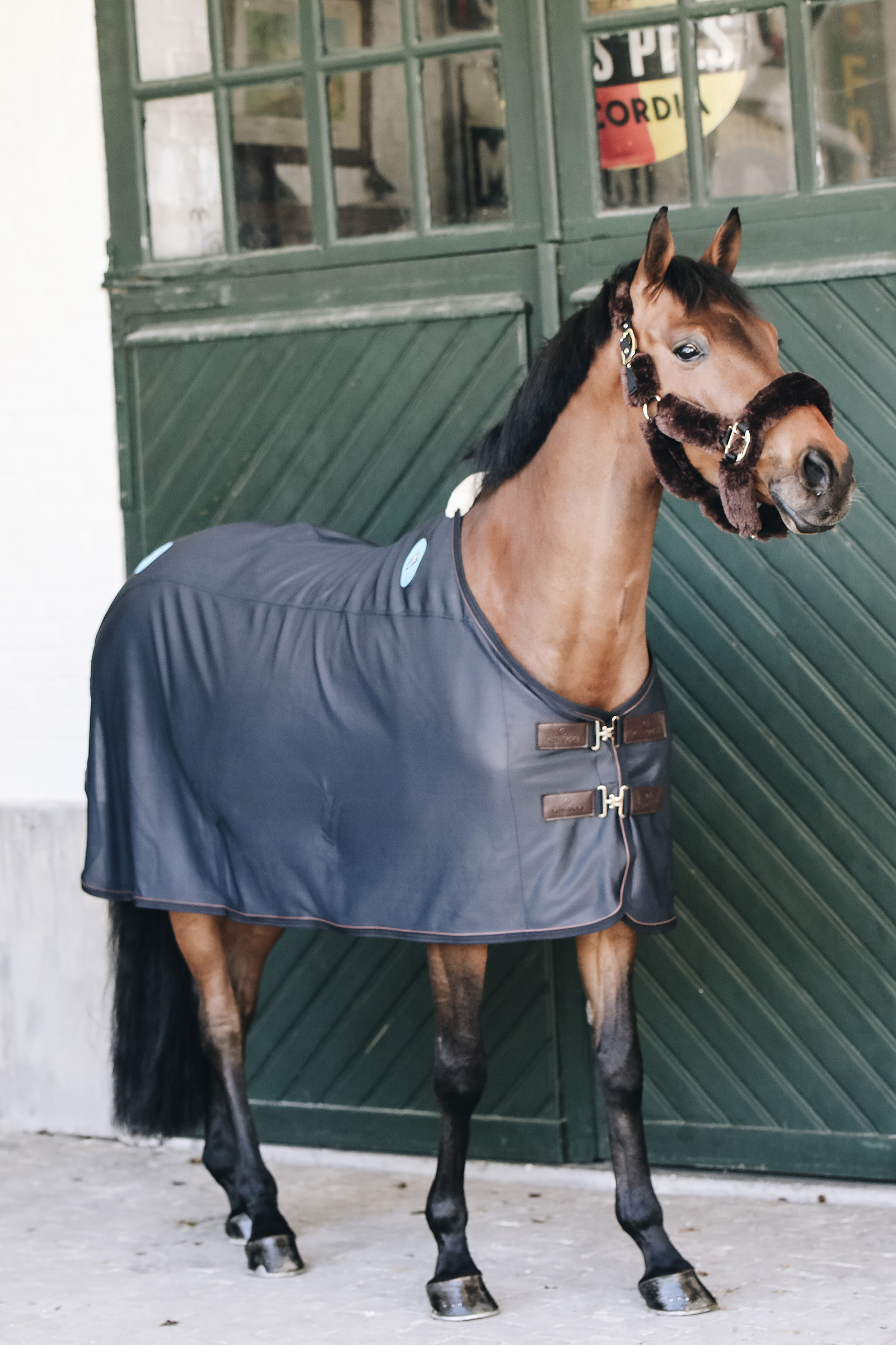Kentucky Horsewear Magnetic Rug Recuptex