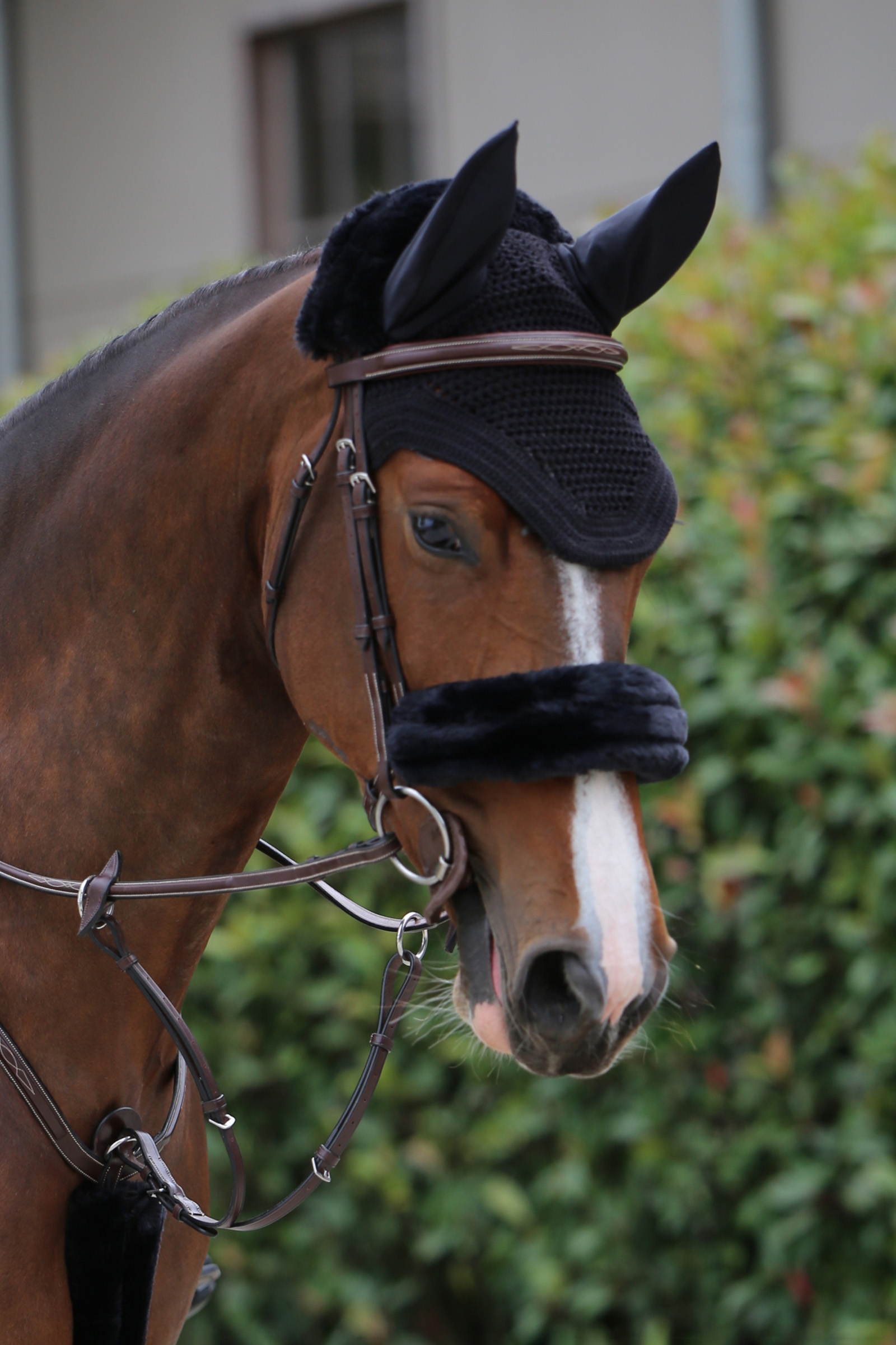 Kentucky Horsewear Lamsvel Neusriem hoes
