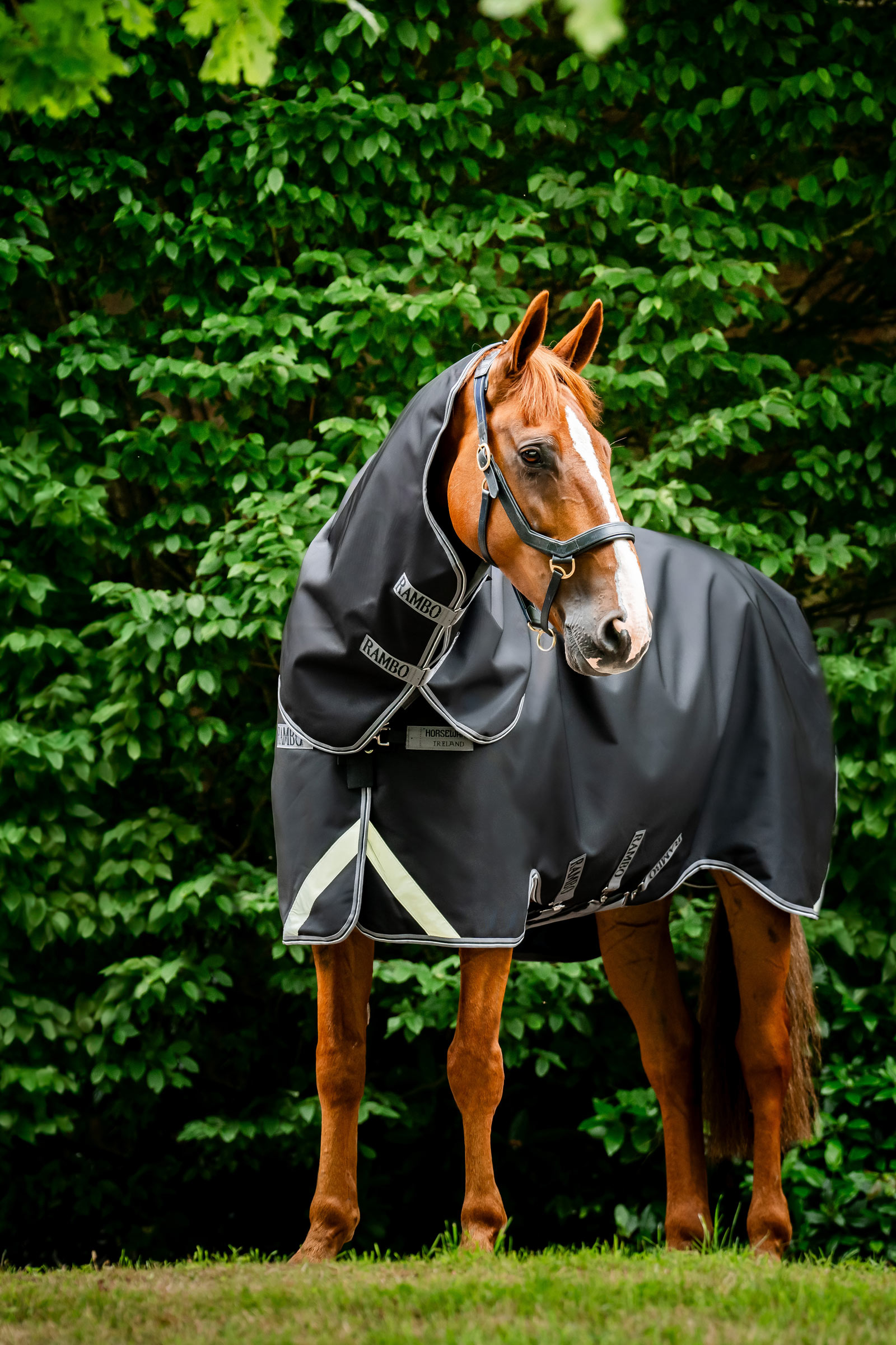 Horseware Rambo 1680D Plus turnoutdeken, 100 g