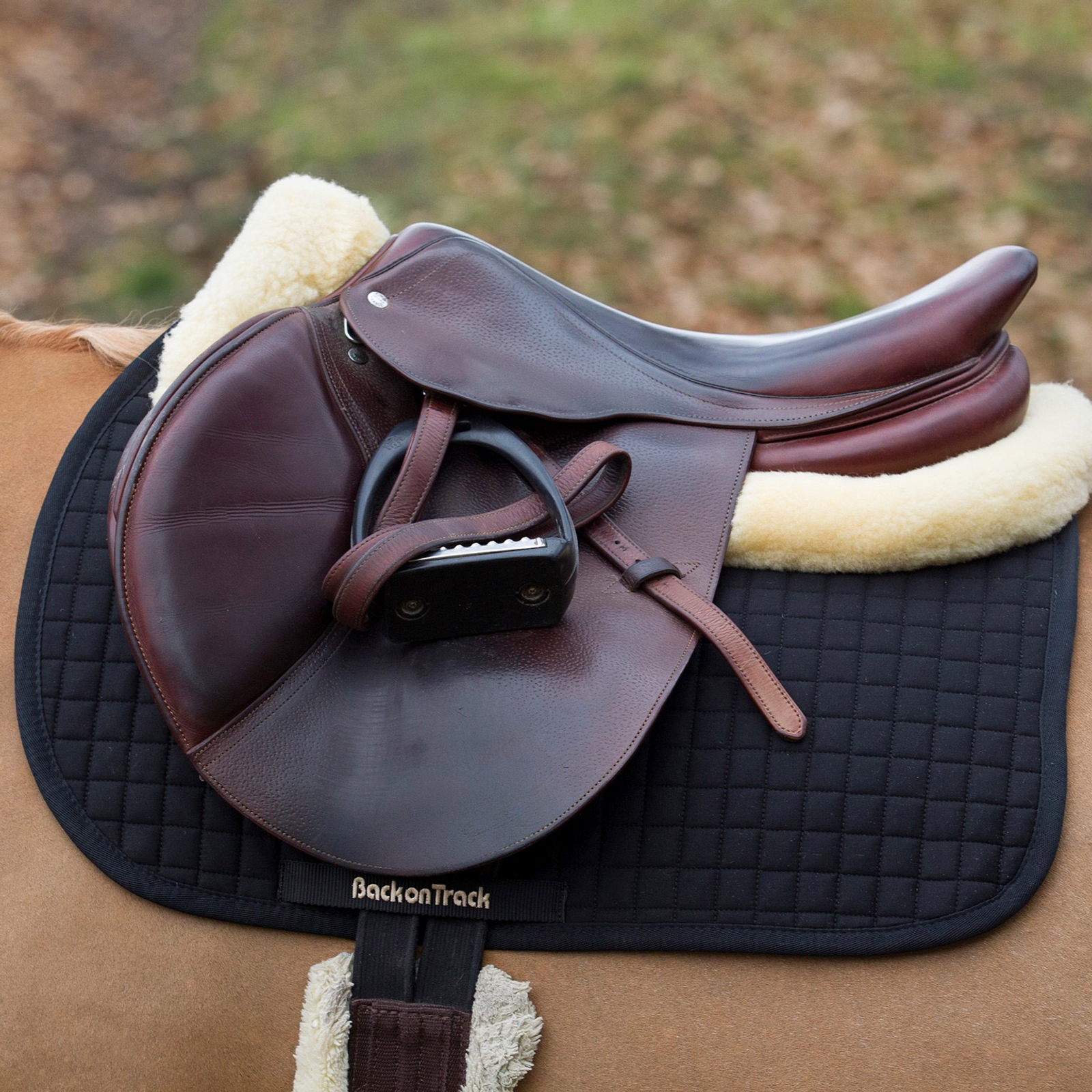 Back on Track Saddle pad Jumping, No. 1