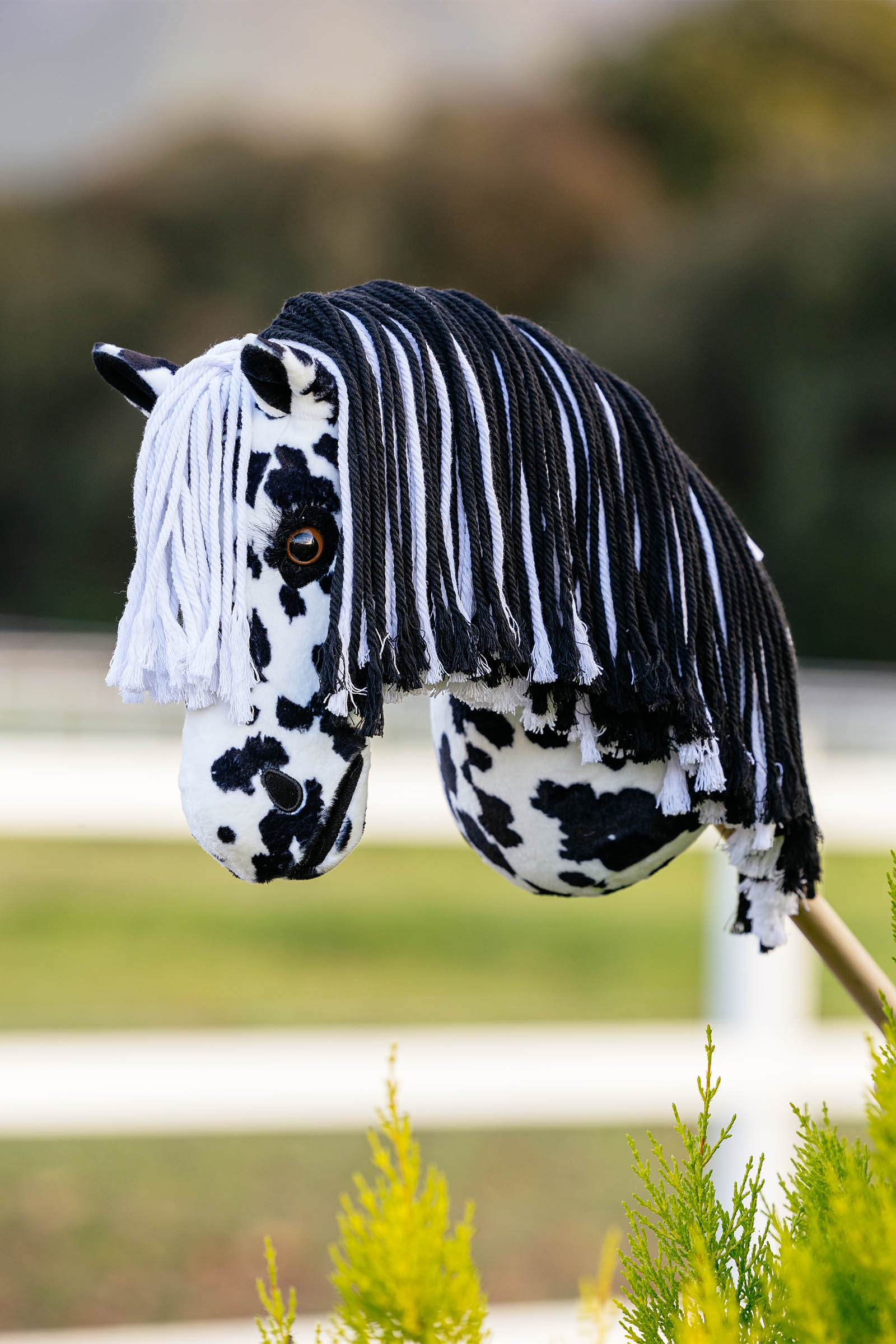 LeMieux Dakota stokpaard