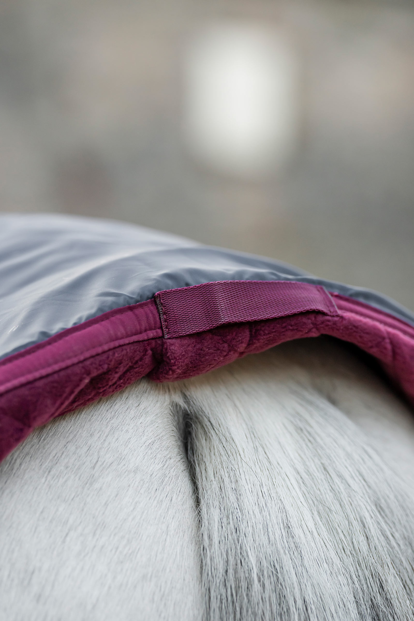 Horseware Signature reiskoeler