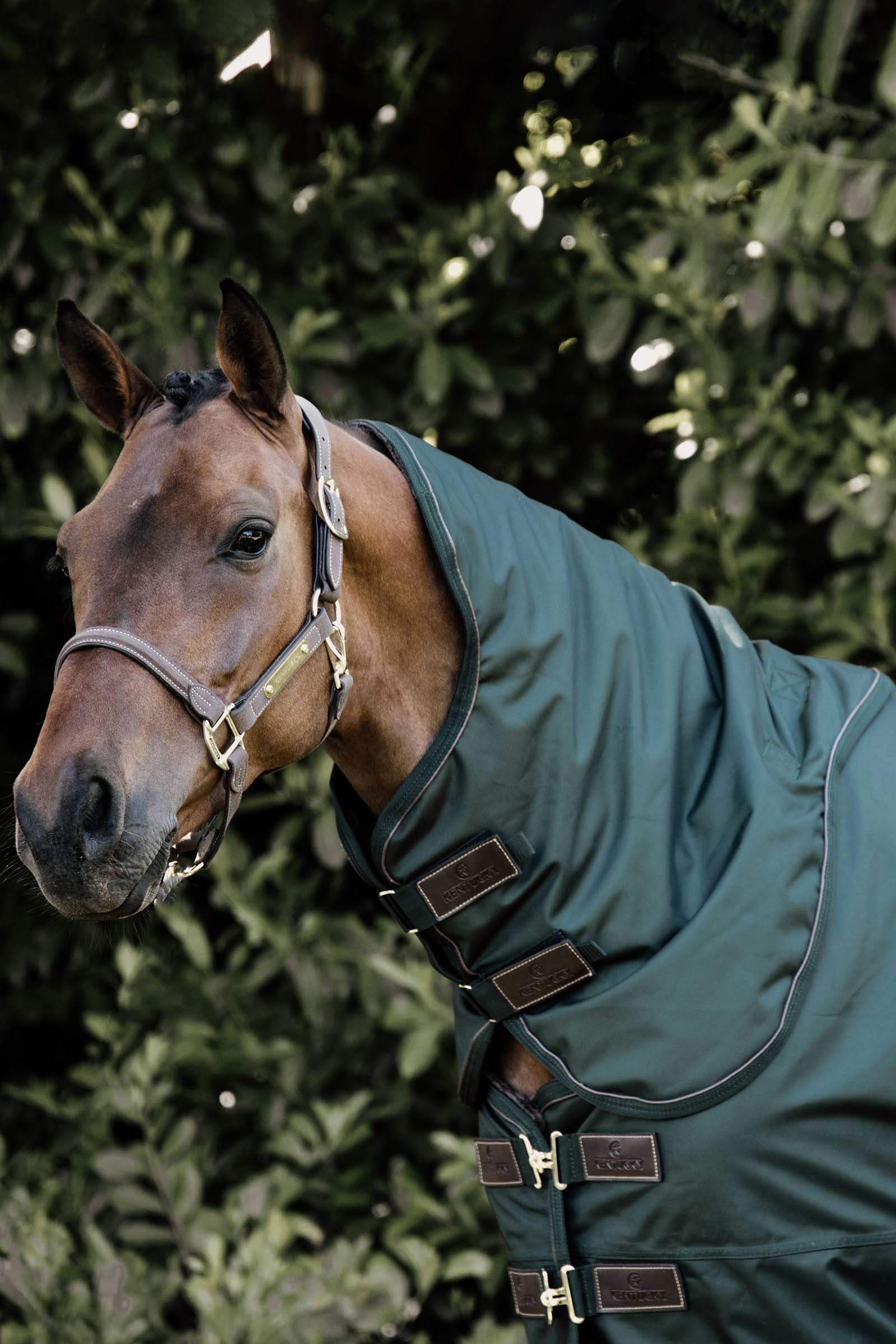 Kentucky Horsewear Nekgedeelte All Weather 150gr