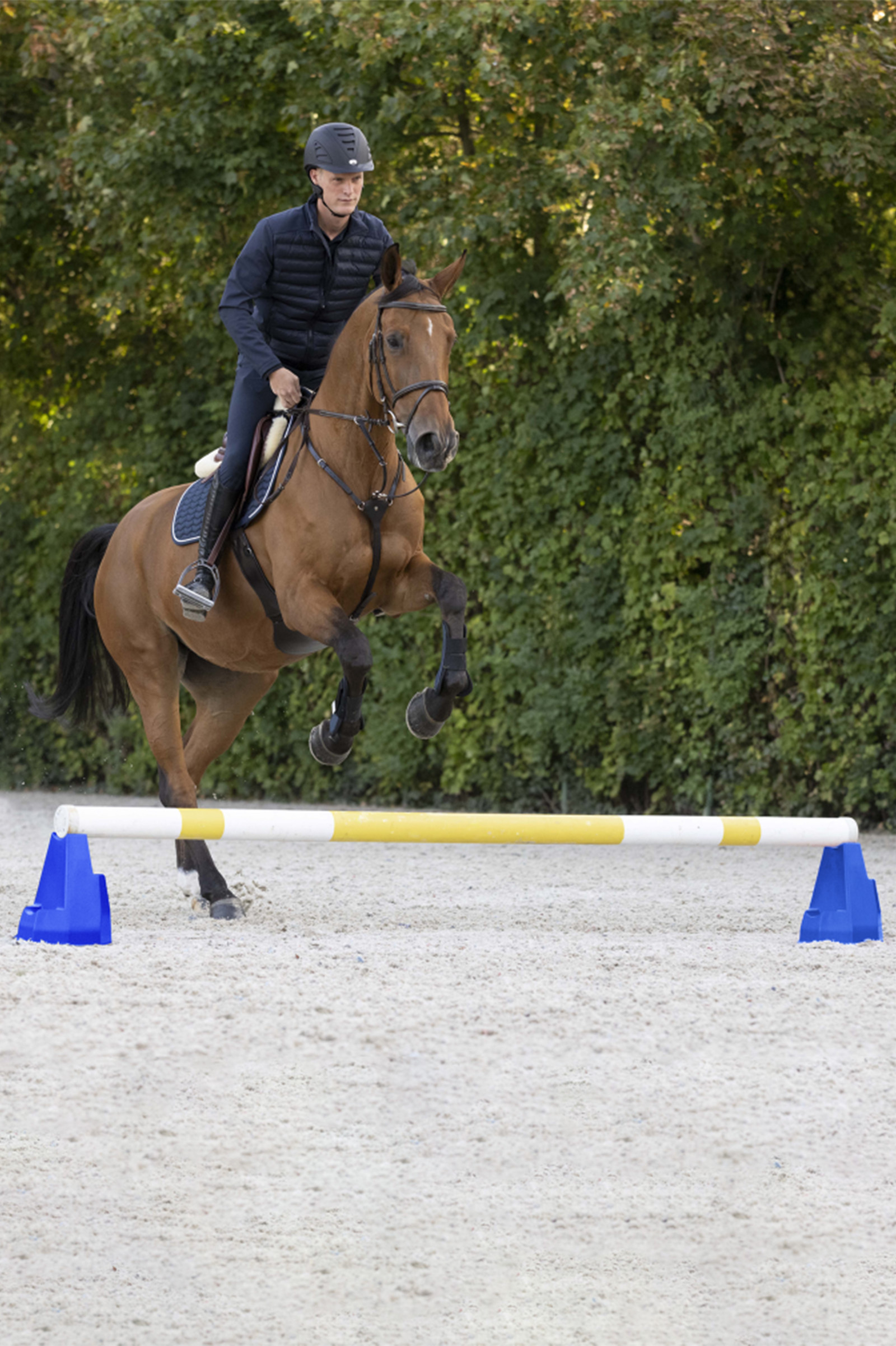 Waldhausen Cavaletti-blok