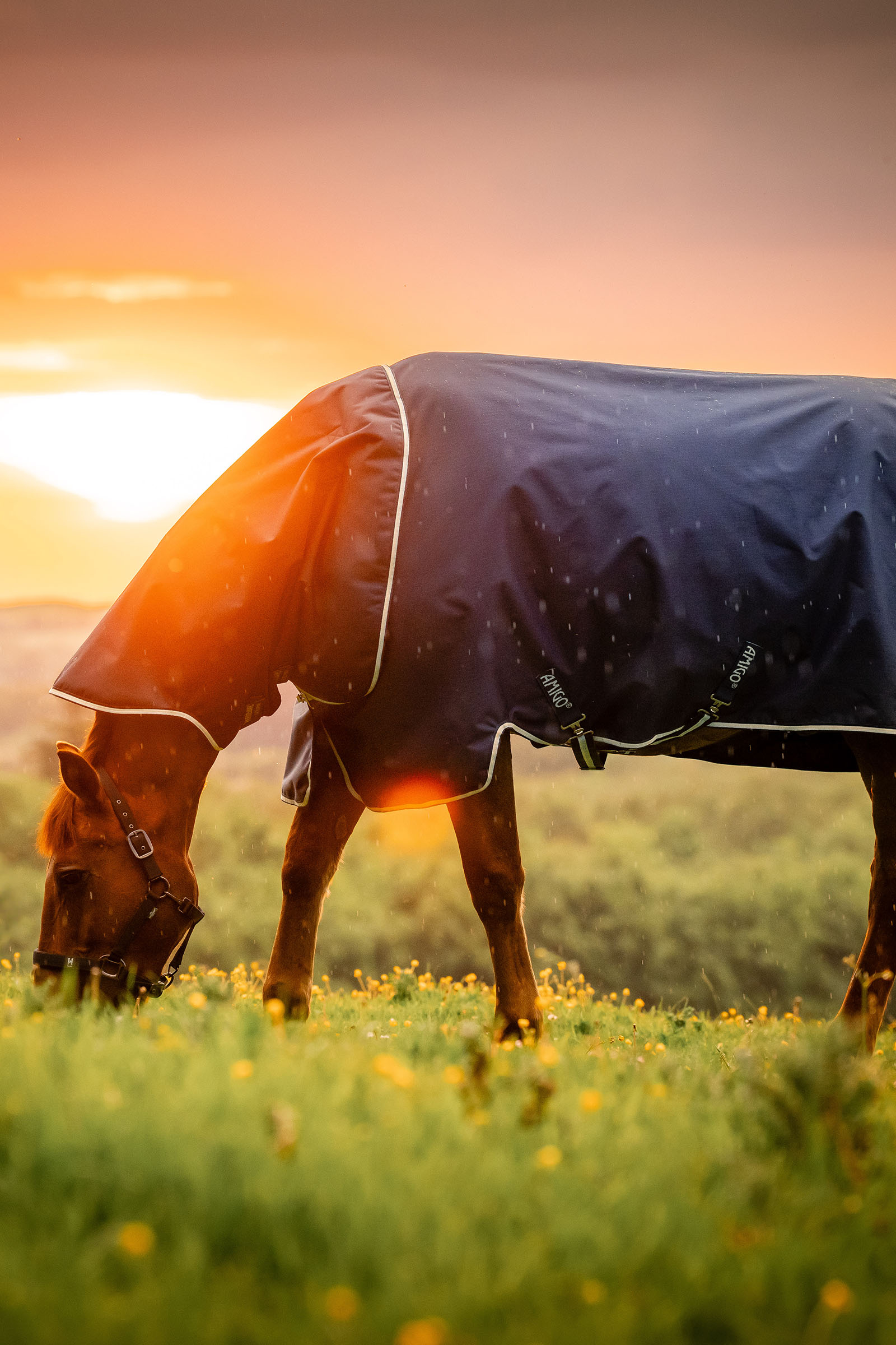 Horseware Amigo Ripstop 900D Plus outdoordeken met afneembaar halsdeel, 100 g
