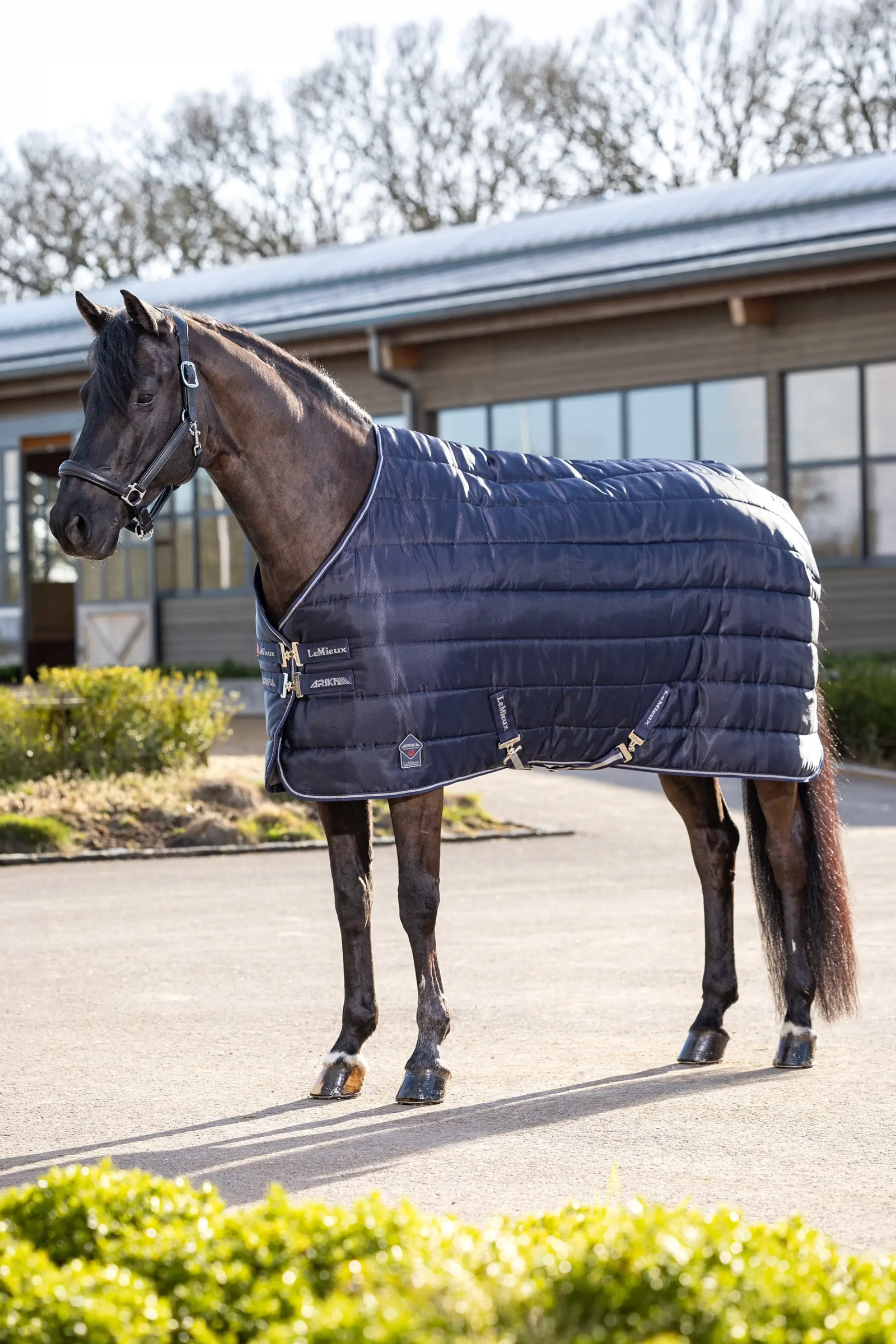 LeMieux Arika Stable-Tek staldeken, 350 g