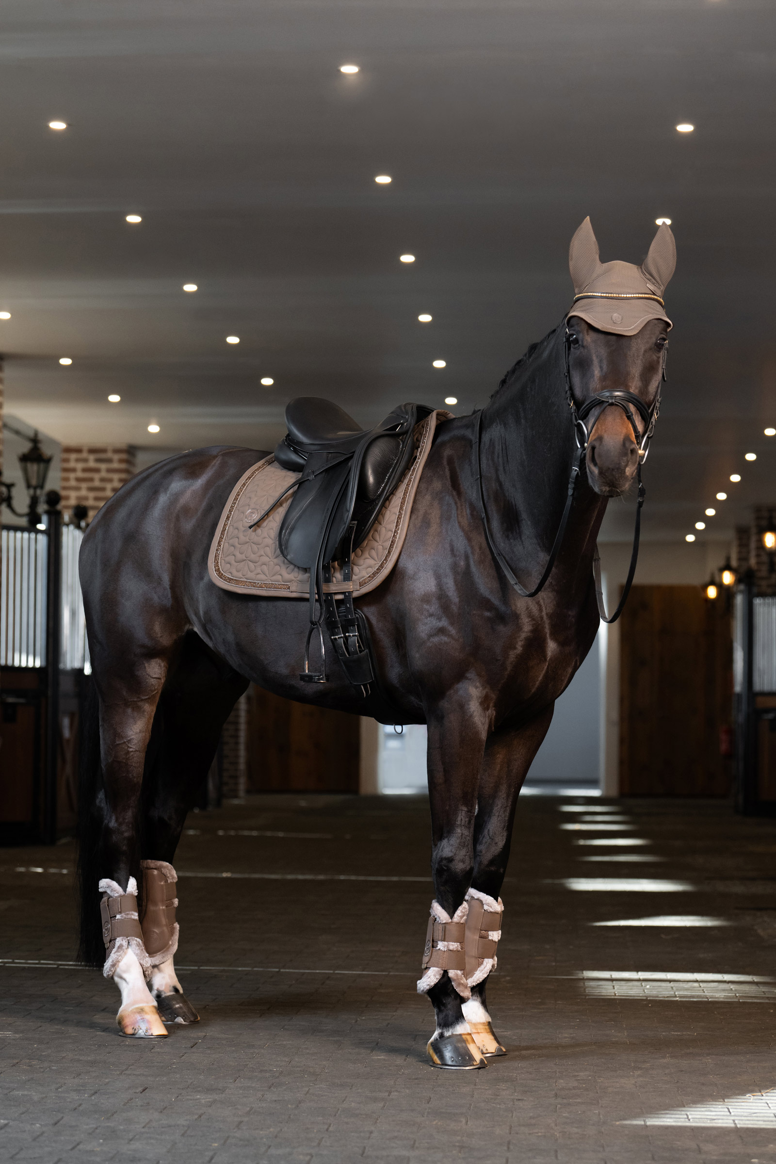 Eskadron Platinum 25 Dynair Mesh Sport oornetje