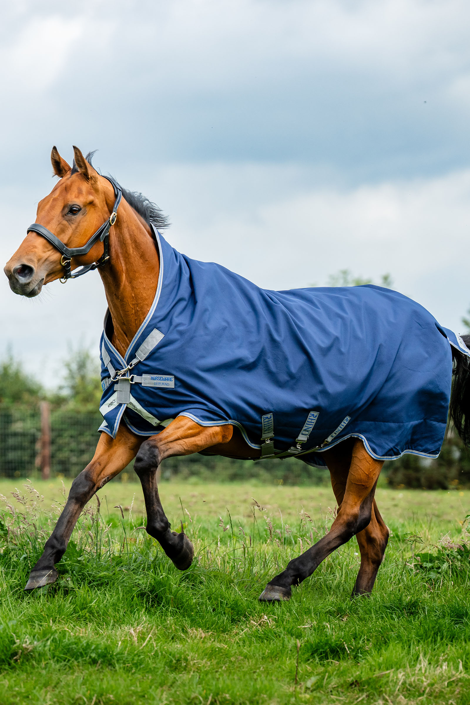 Navy/Titanium Grey & Classic Blue Horseware Rhino Wug buitendeken, 100 g