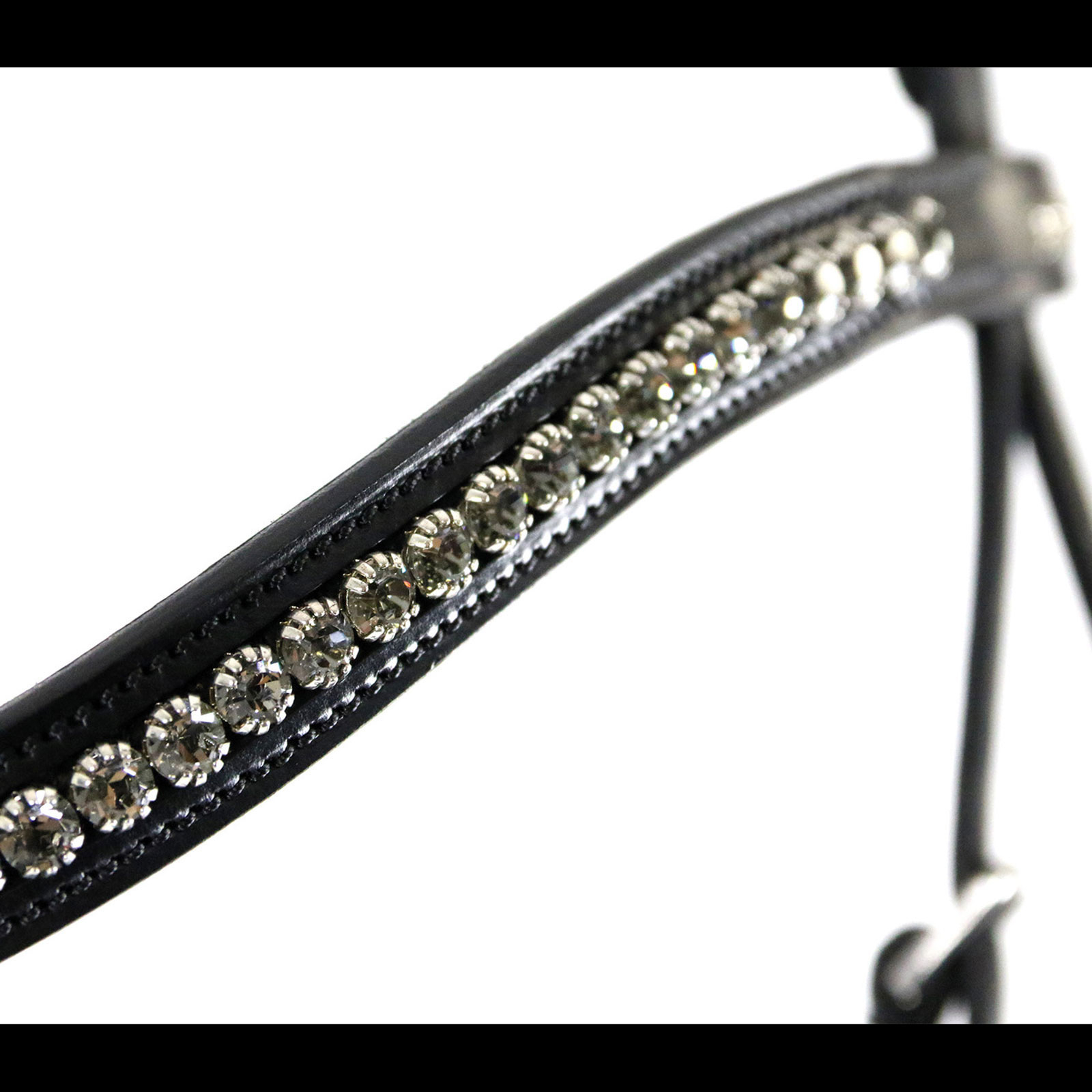 Schockemöhle Sports Equitus Beta Hoofdstel