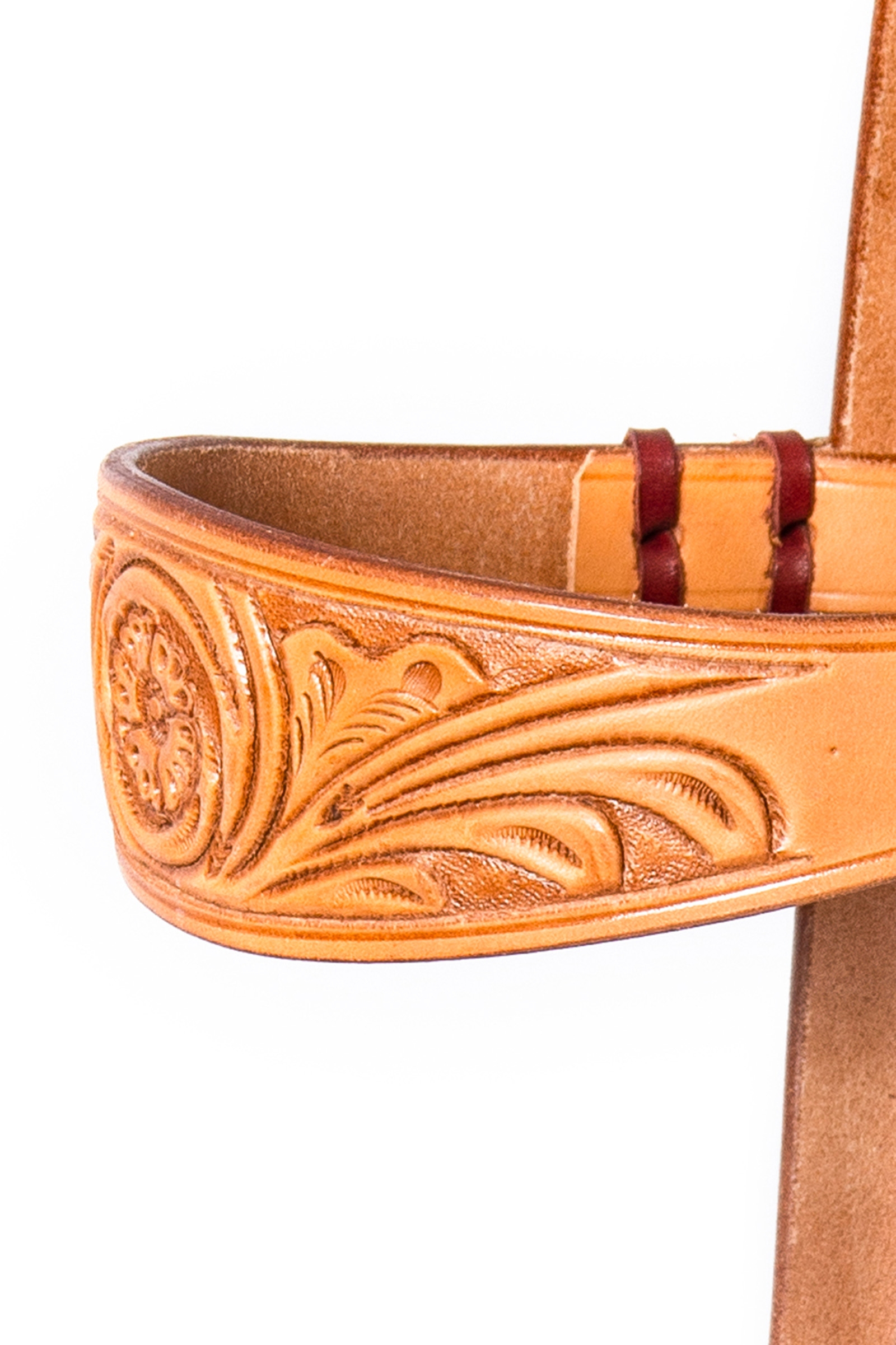 F.R.A. Freedom Riding Articles Diego Bitloos Hoofdstel