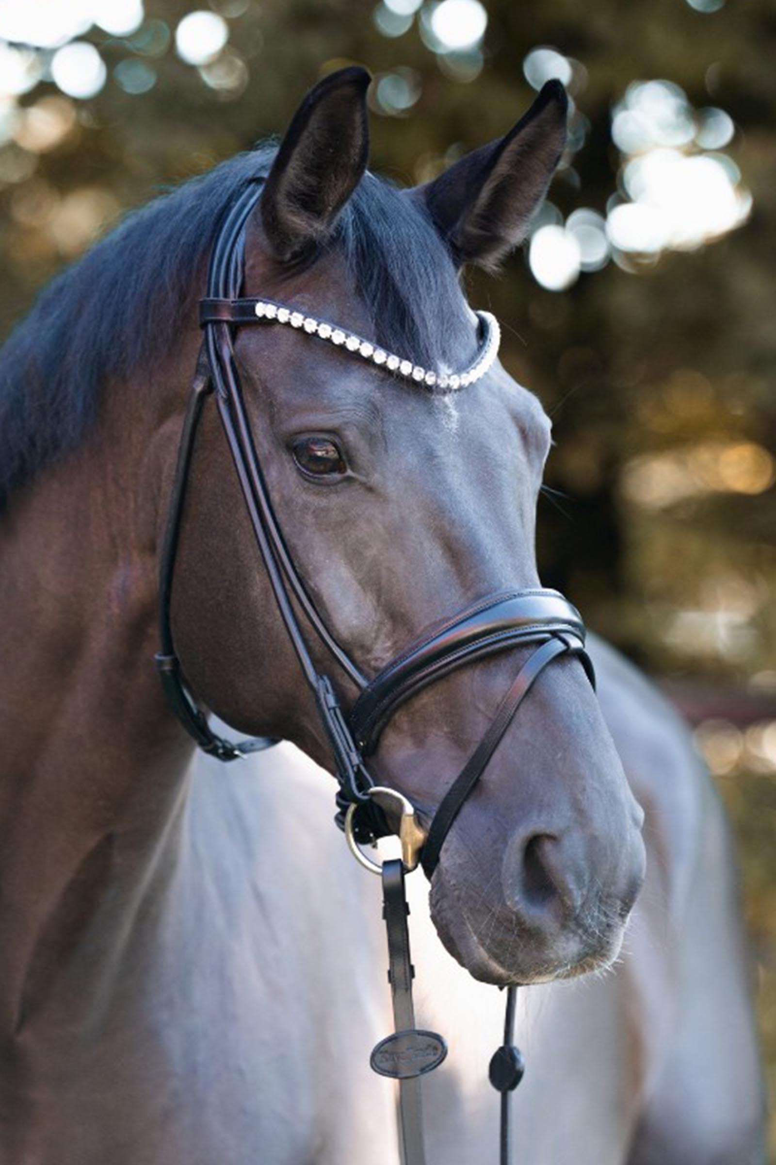 Kavalkade Florentine hoofdstel Zweeds gecombineerd