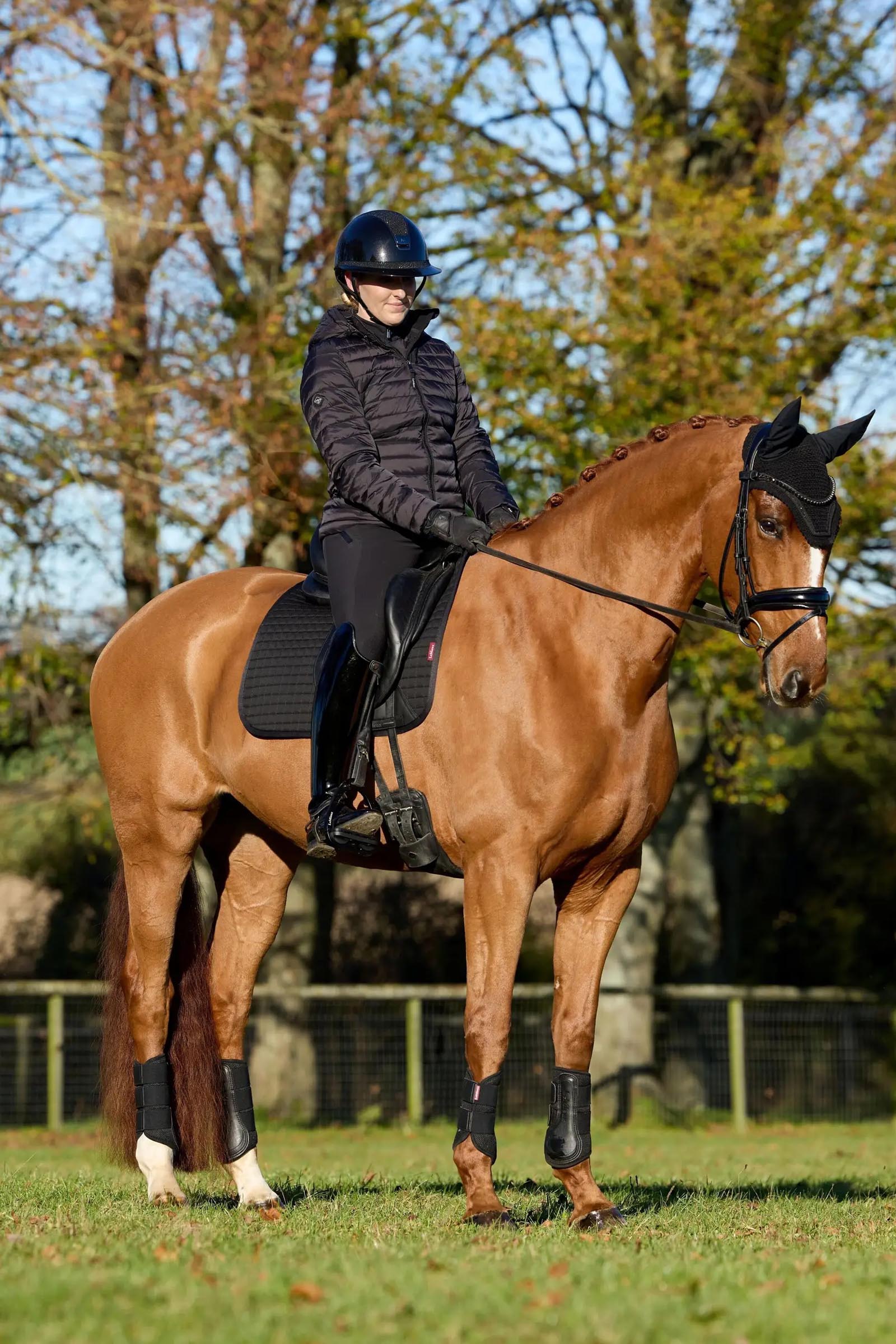 LeMieux Cotton dressuurschabrak