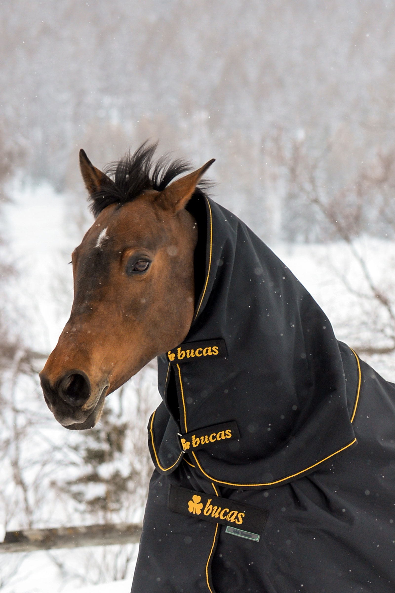 Bucas Irish Turnout halsdeel, 300g