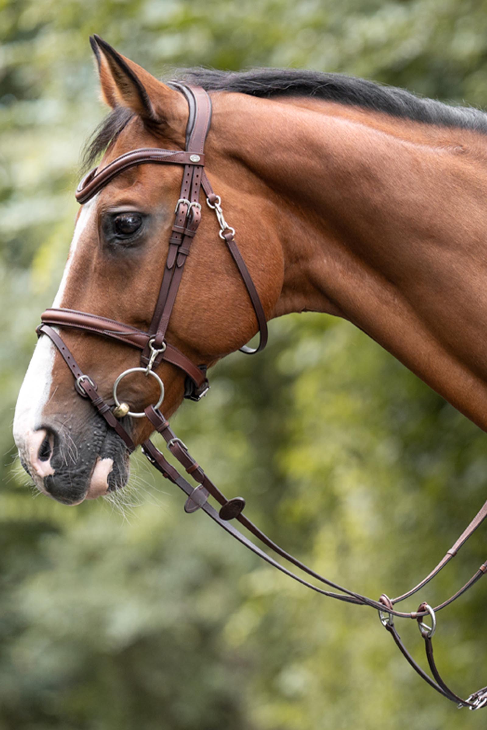 Kavalkade Azriel martingaal, zacht gevoerd