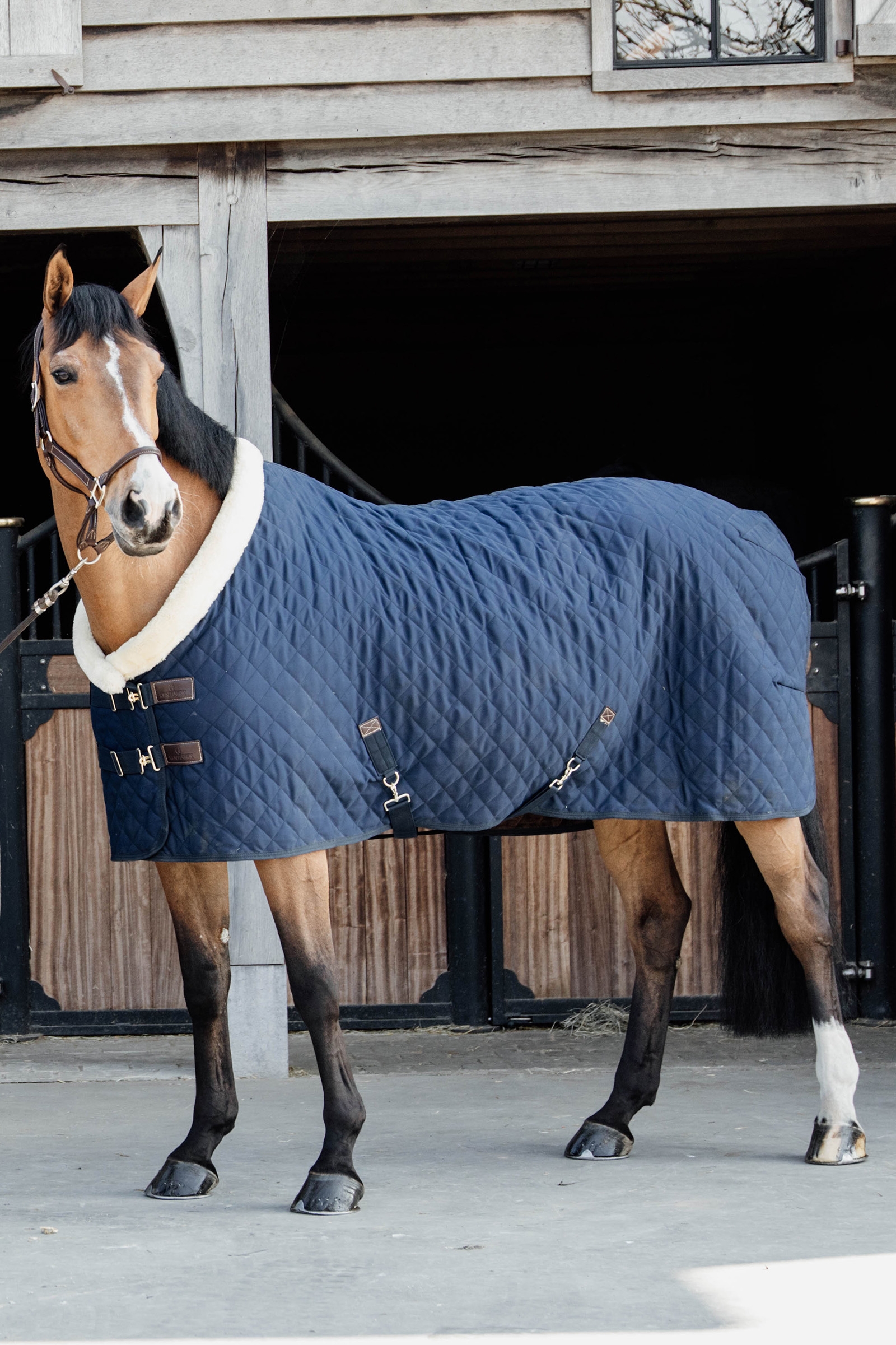 DB/AB Kentucky Horsewear Showdeken 160g